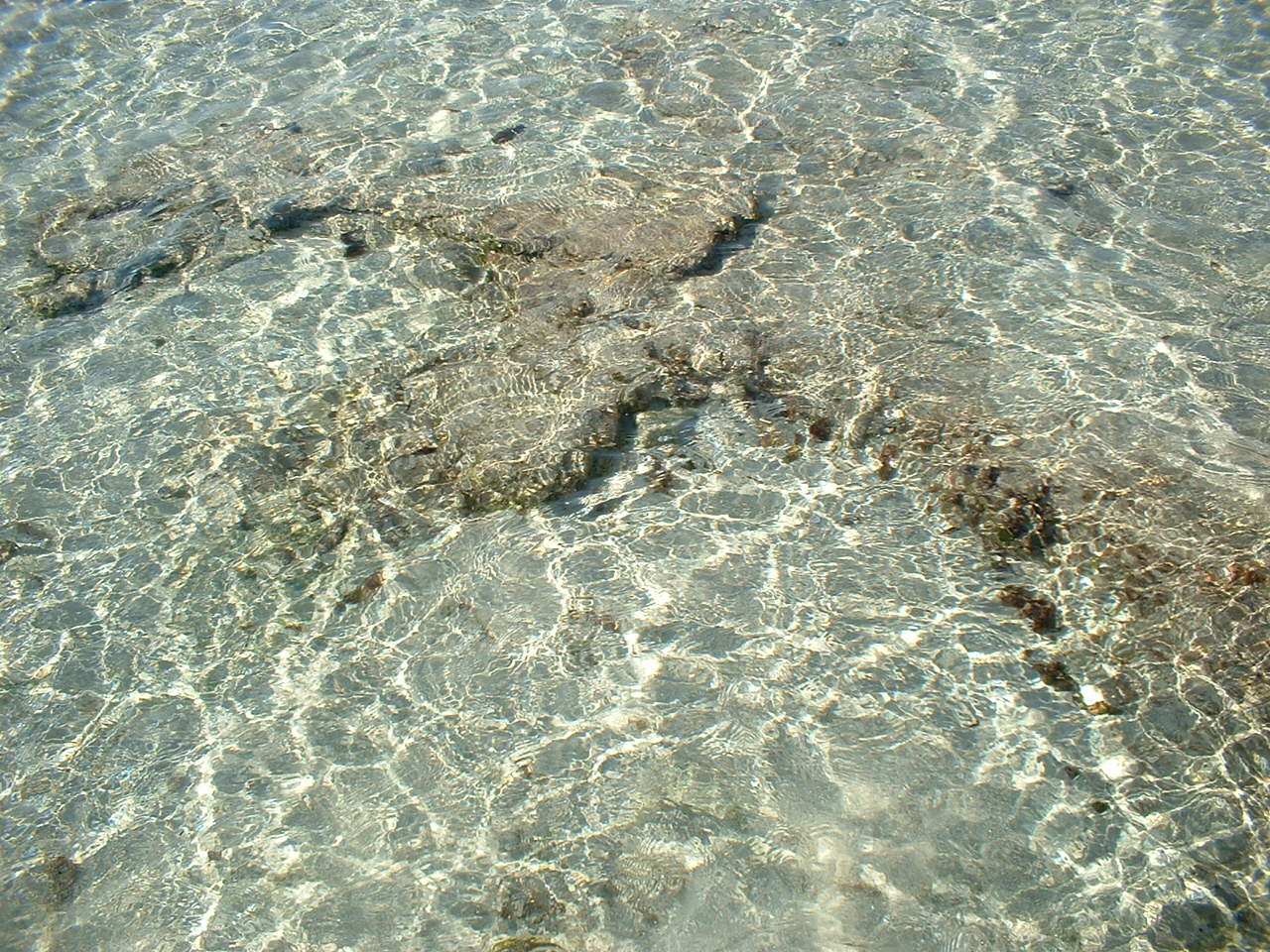 Gallipoli_Trasparenza