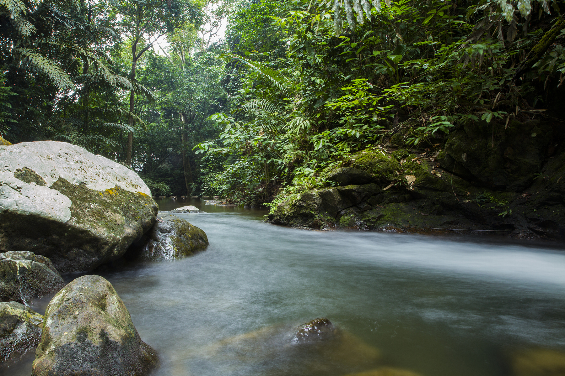 Ruscello sul monte kinabalu