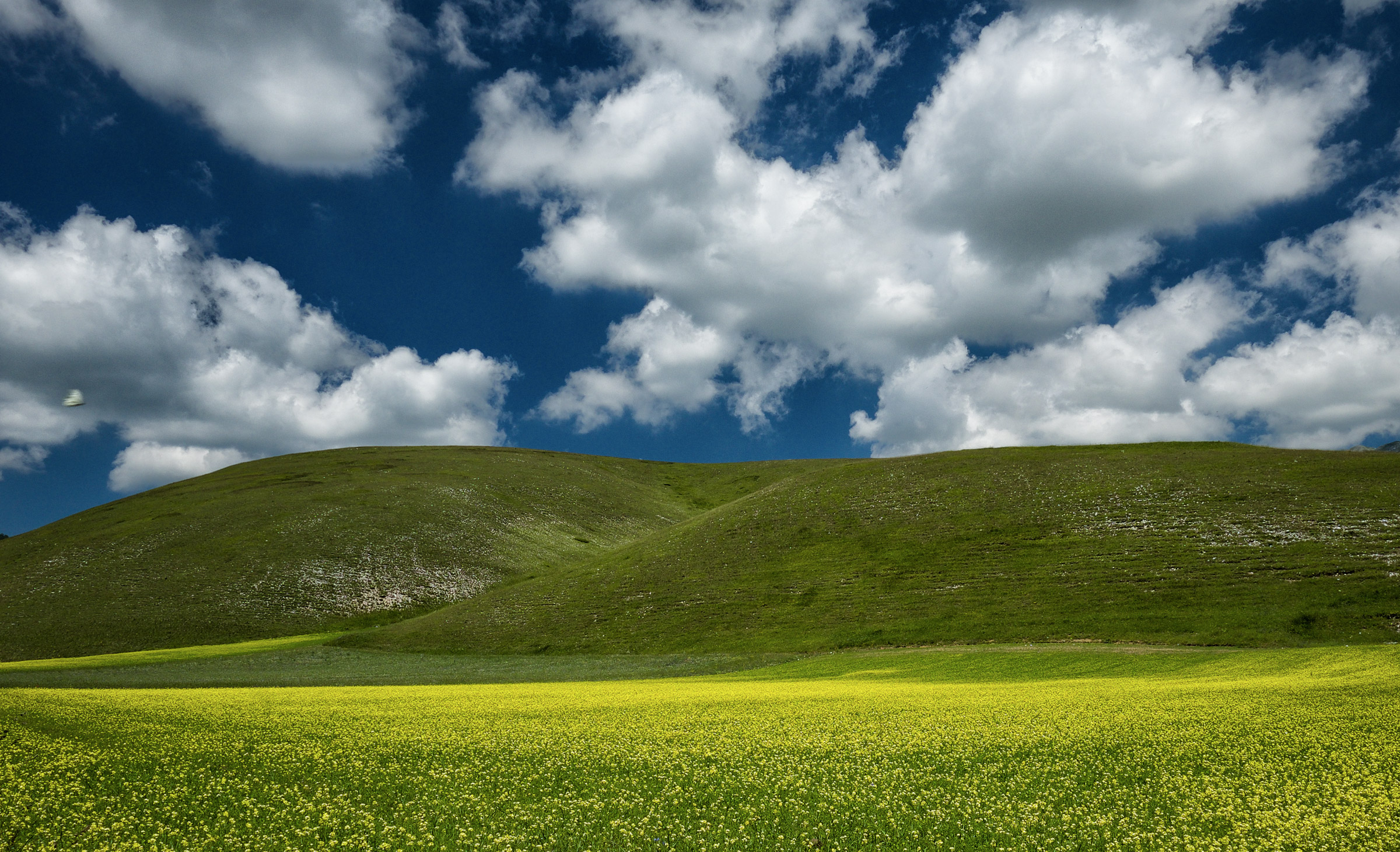 Castelluccio lentils