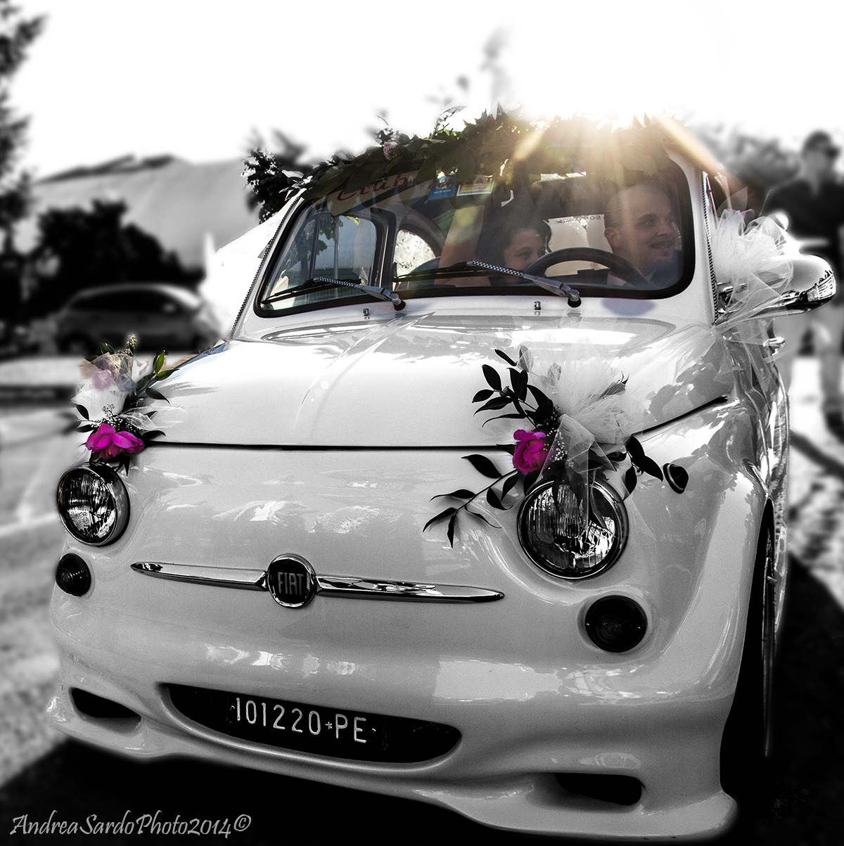 The little mouse Navelli