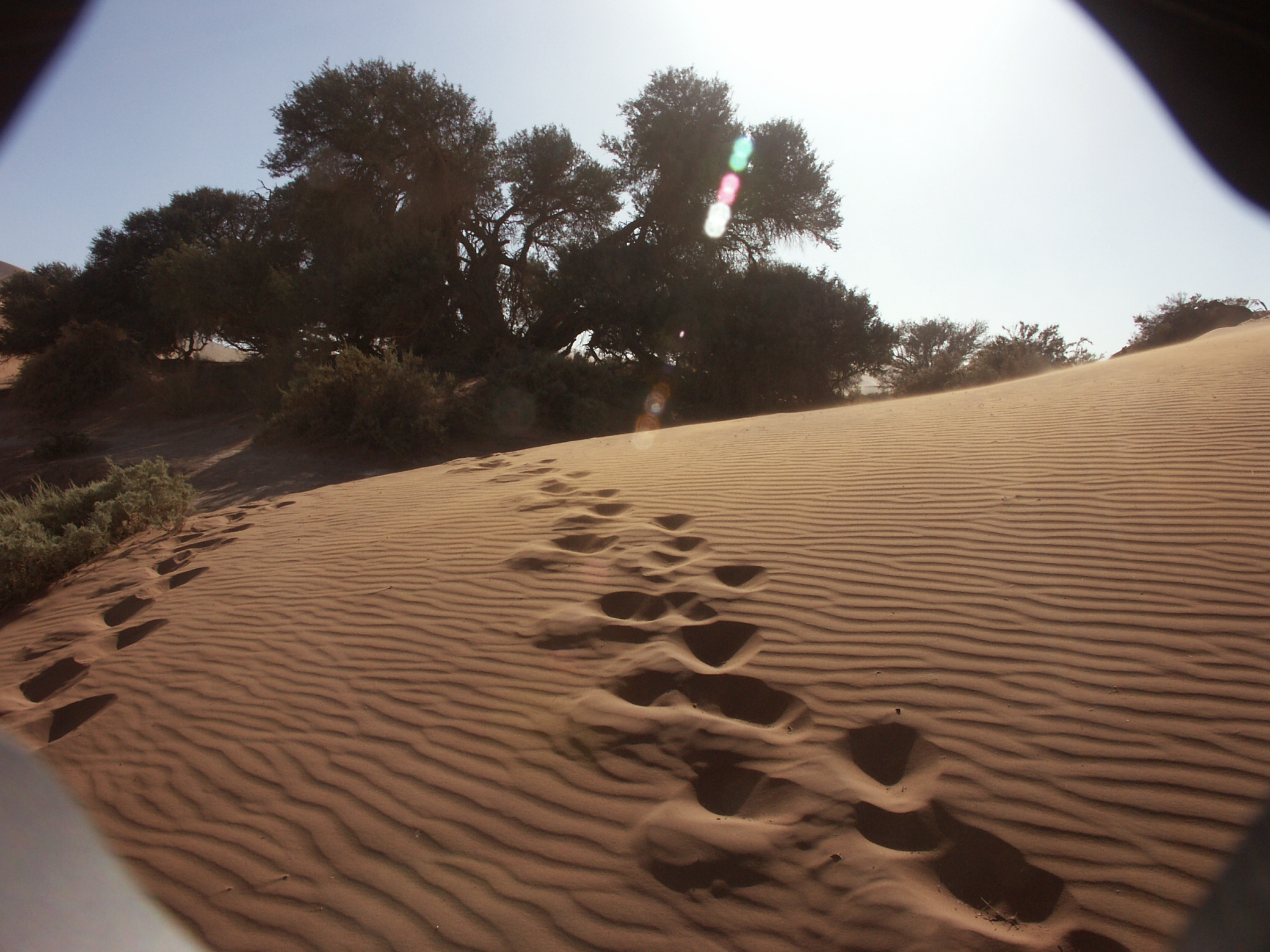 in salita sulle dune