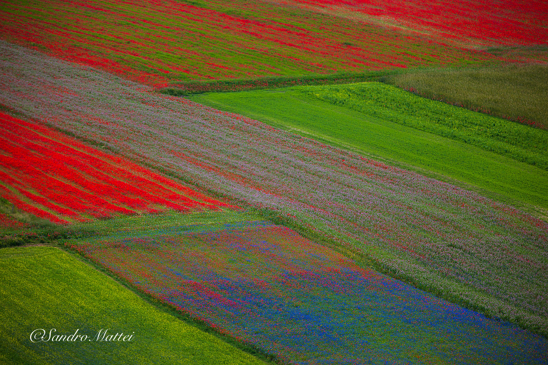 The colors of Castelluccio di Norcia