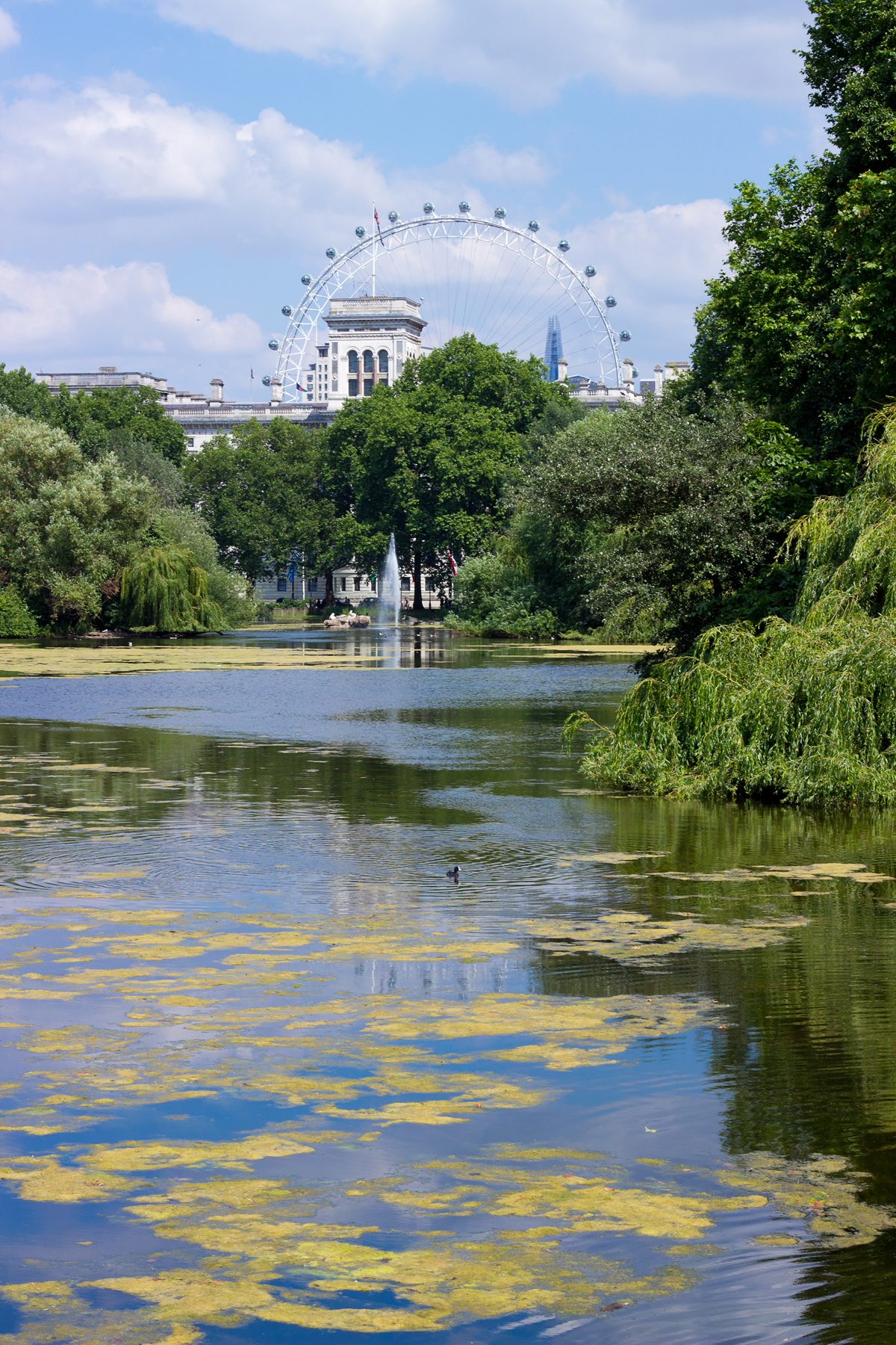 London Eye from St. James Park