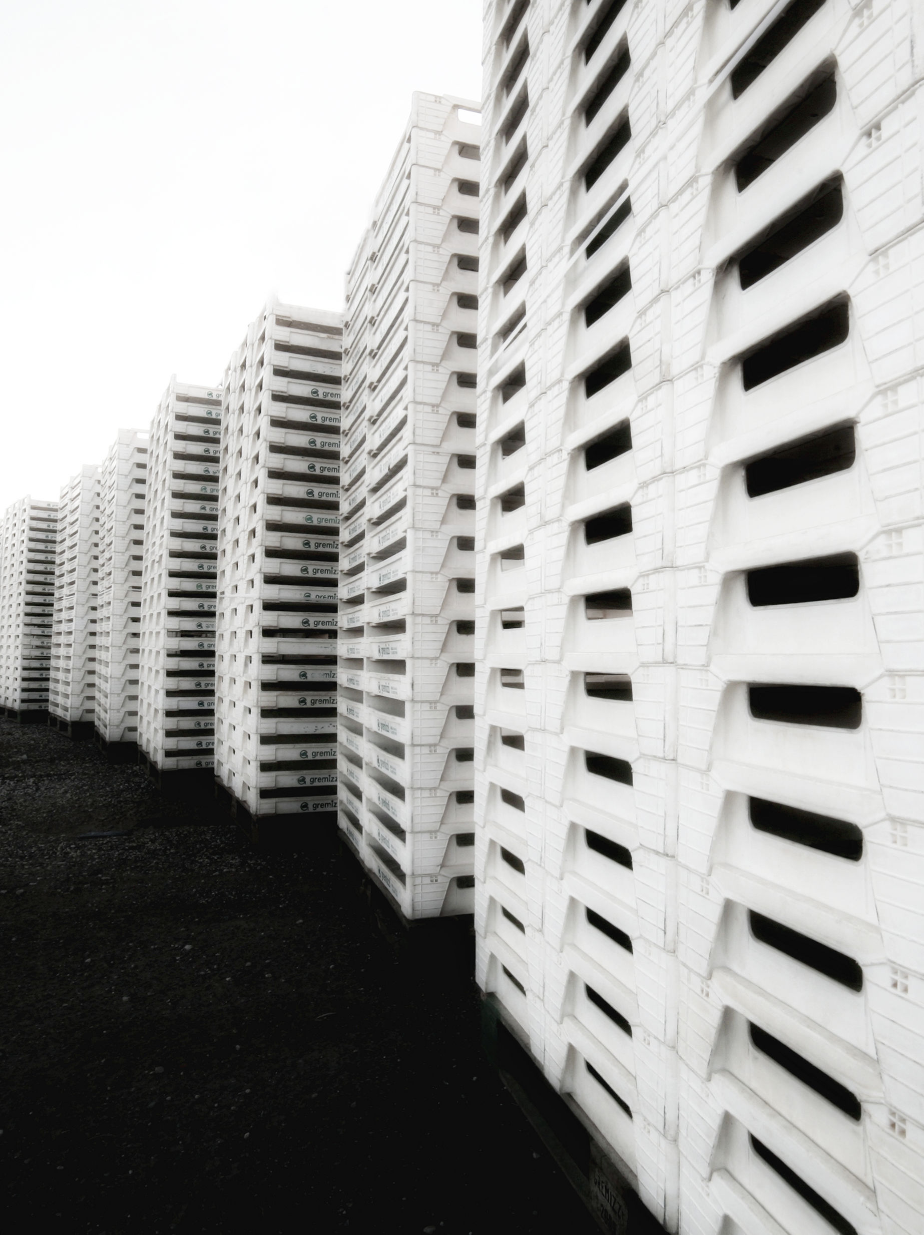 Edilizia... per basilico