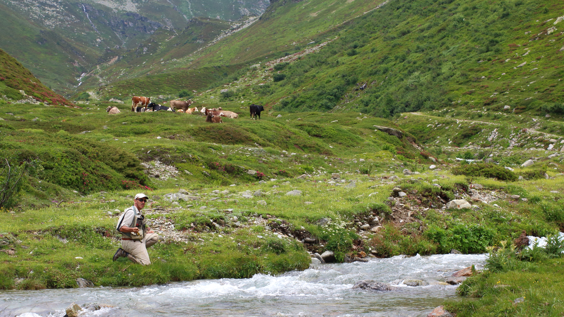 Fly fishing Scalcoggia