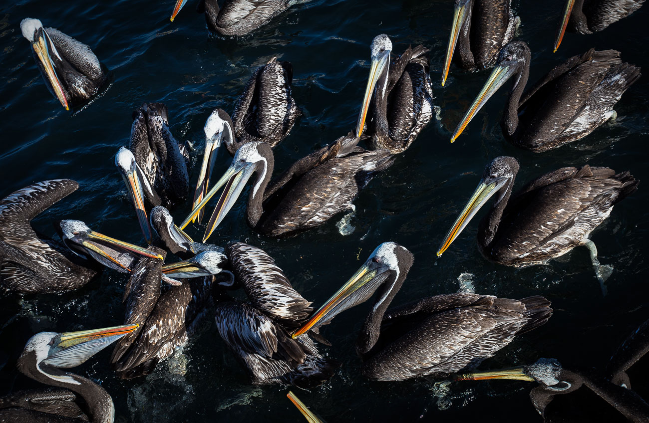Per qualche boccone in più