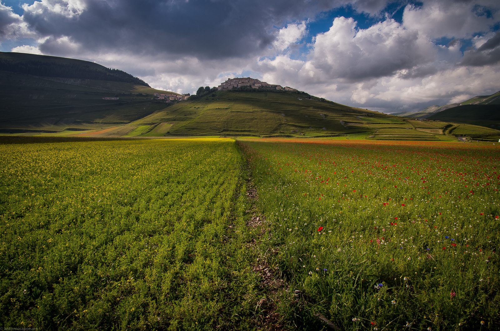 Castelluccio di Norcia