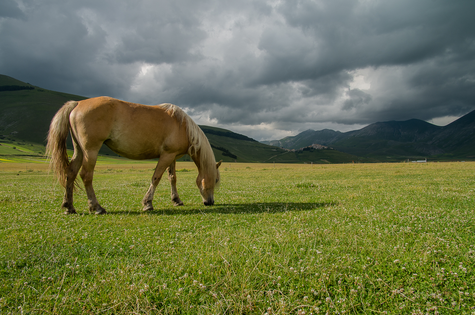 Castelluccio di Norcia 001