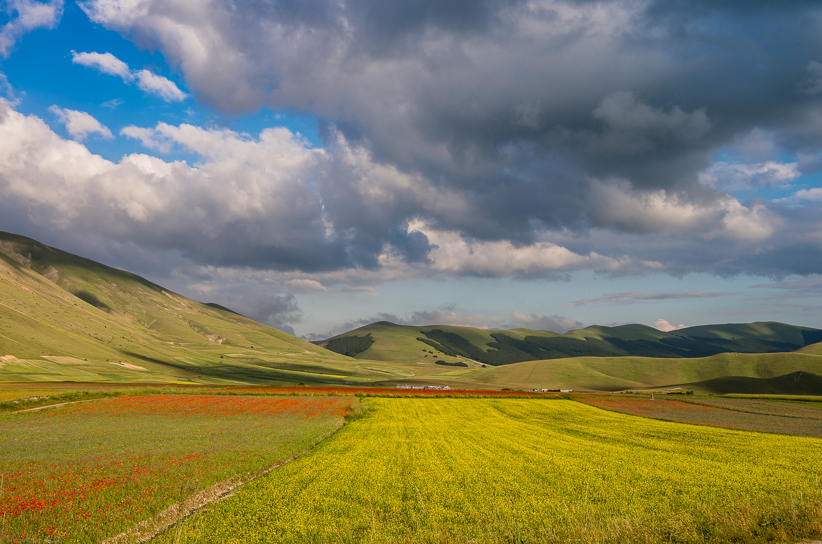 Castelluccio di Norcia 002
