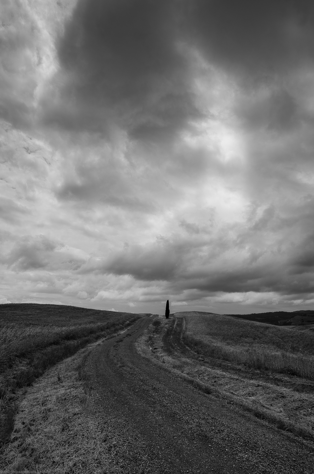 Val D'Orcia  - il solitario