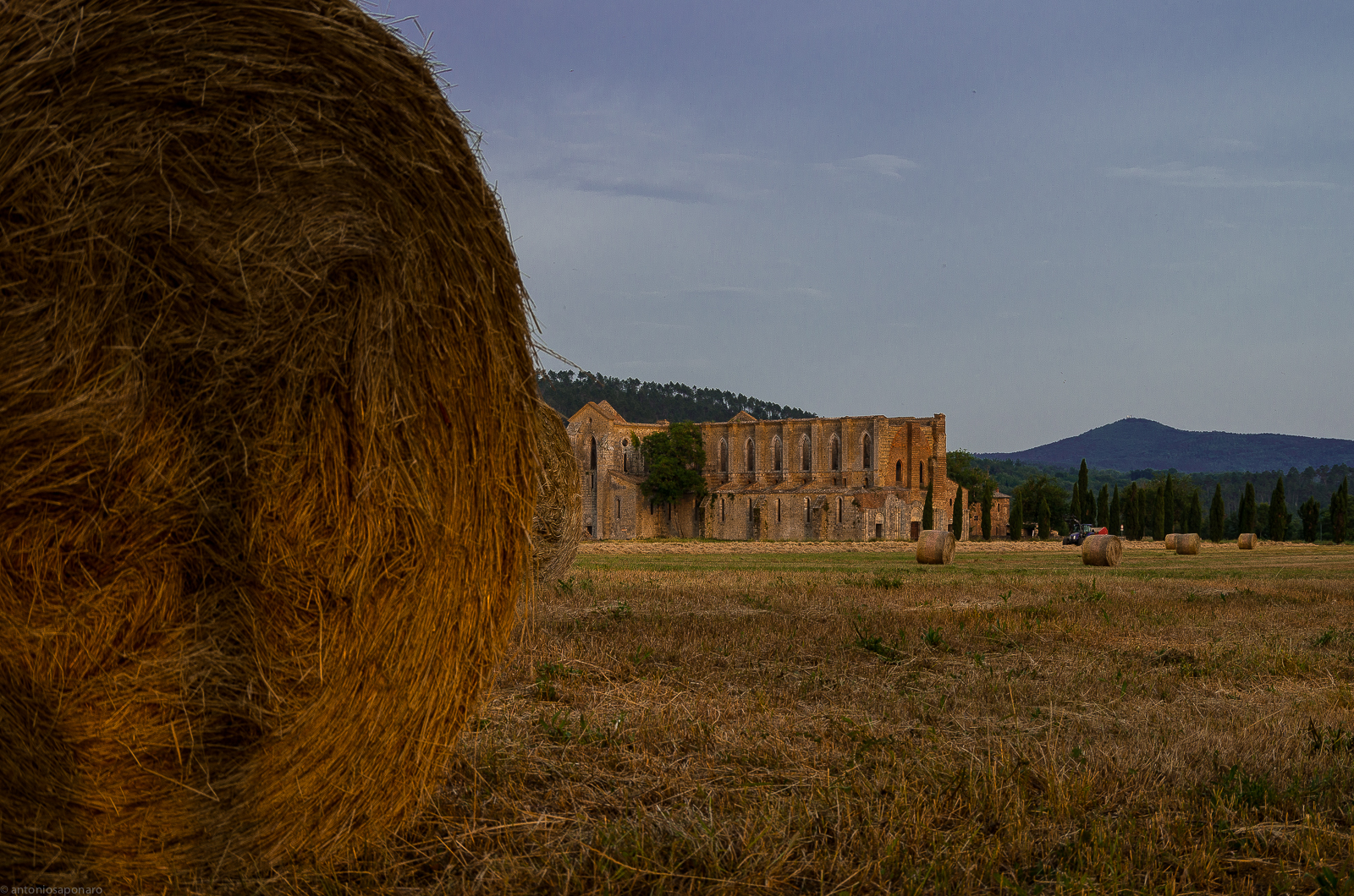 La calda luce del tramonto