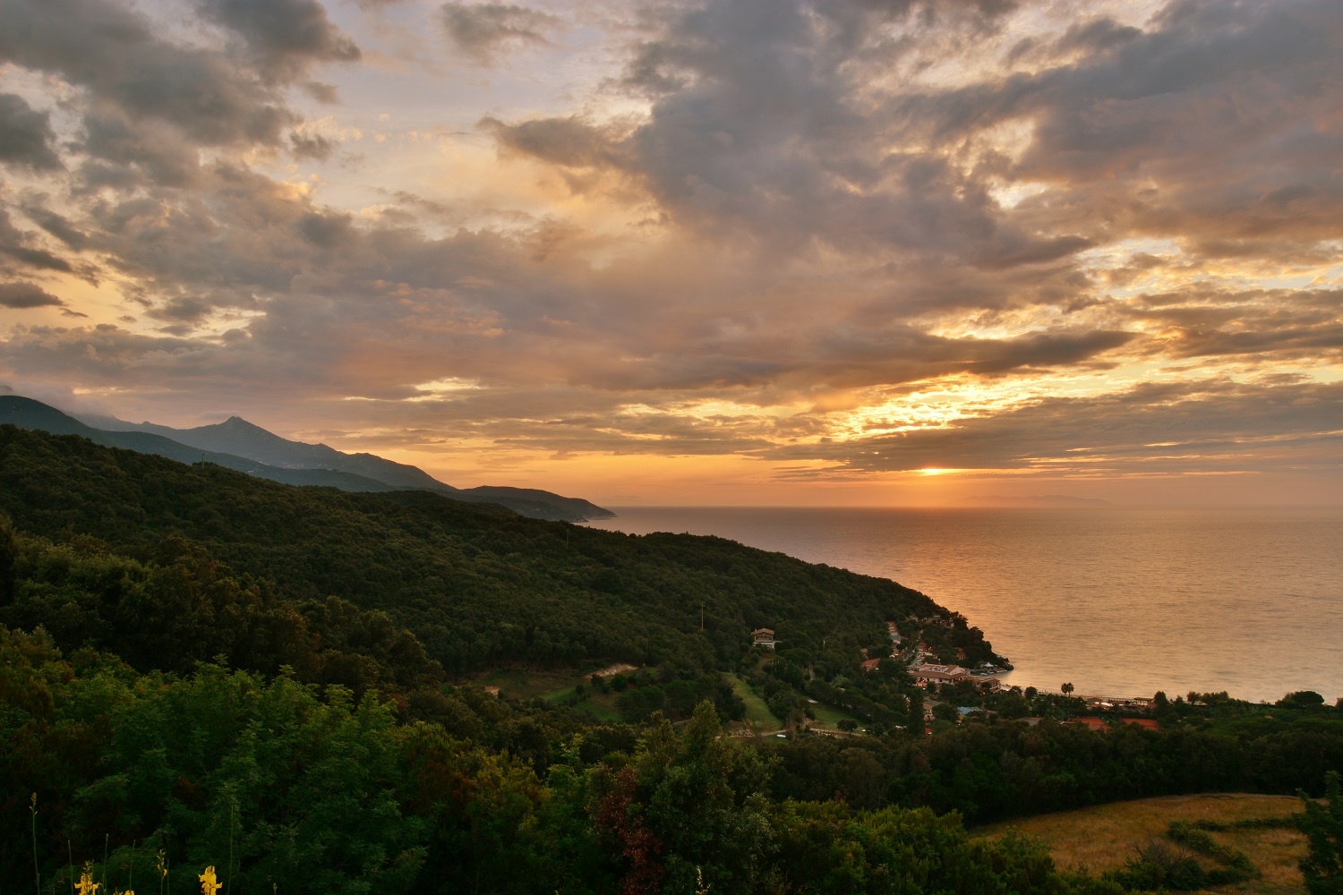 greetings from Biodola