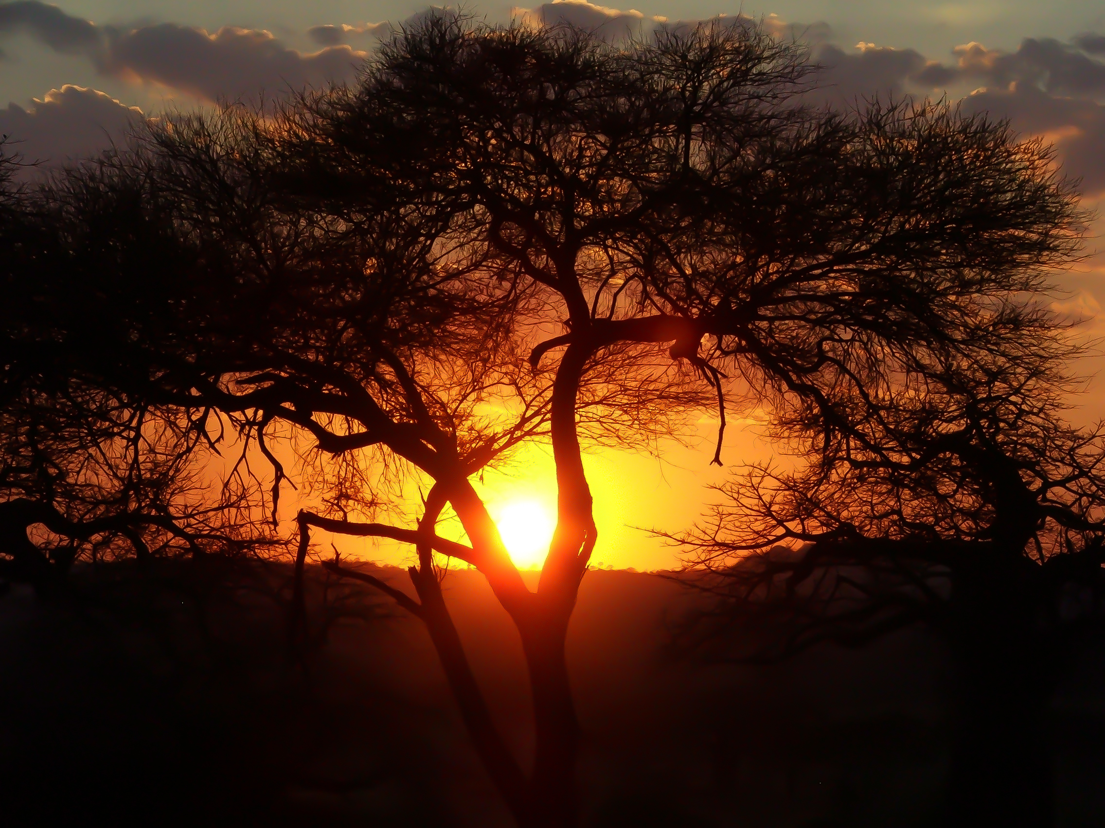 Sunset Tanzania