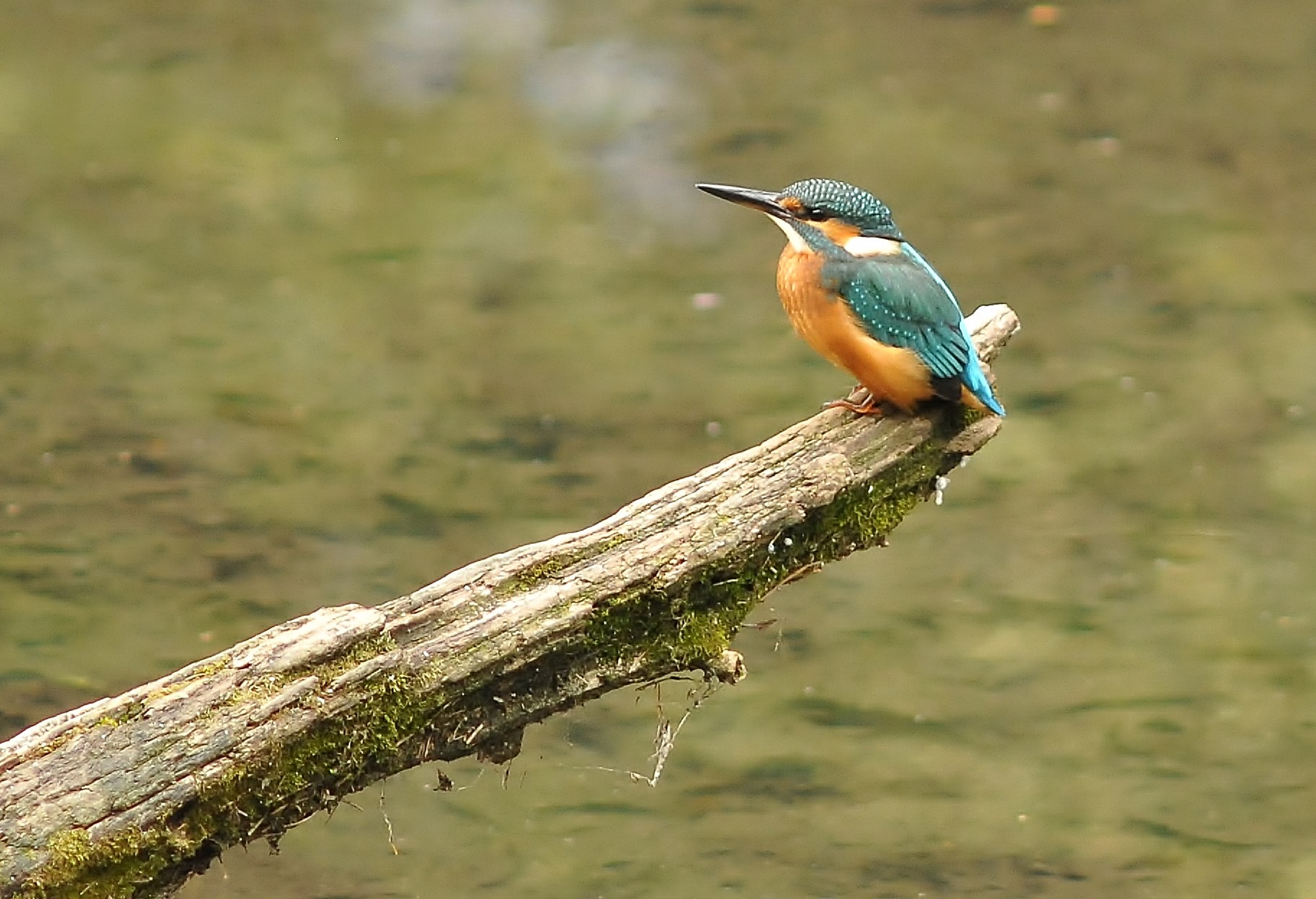 My first Martinooo!!