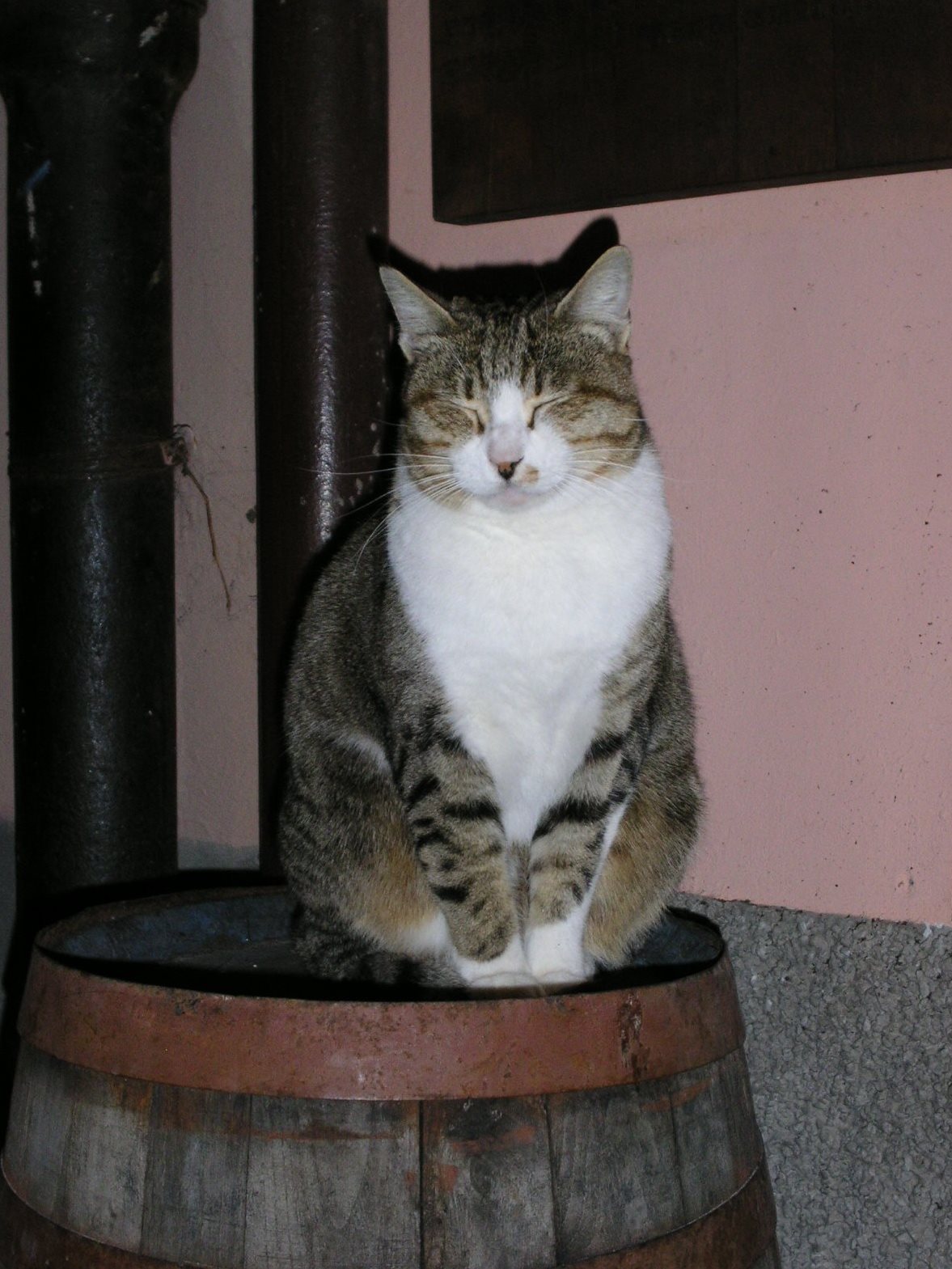 Mi sa che ho bevuto un po troppo