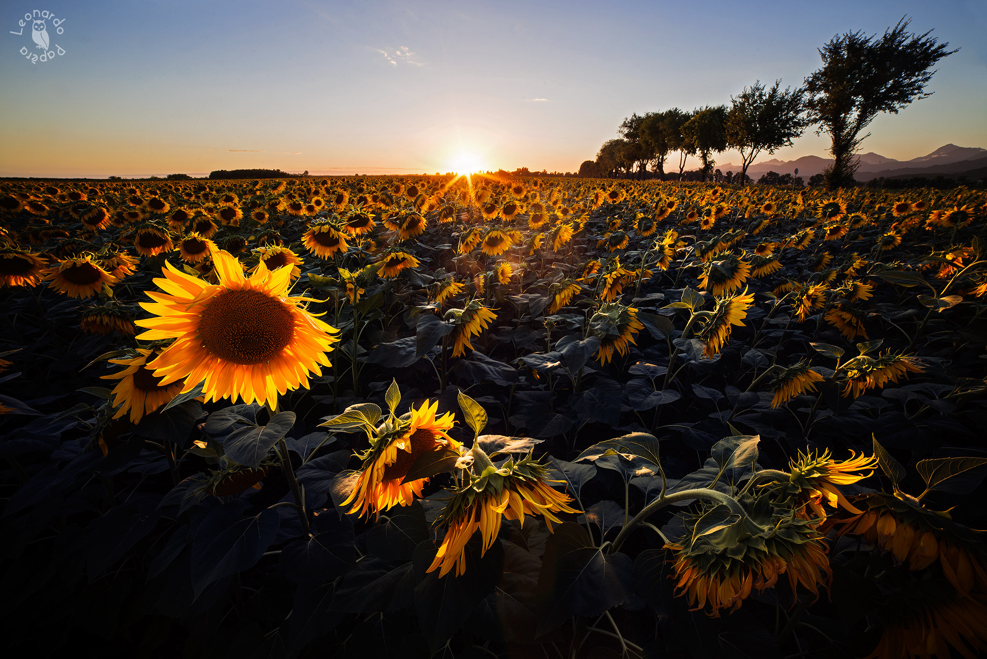 The House of the Setting Sun