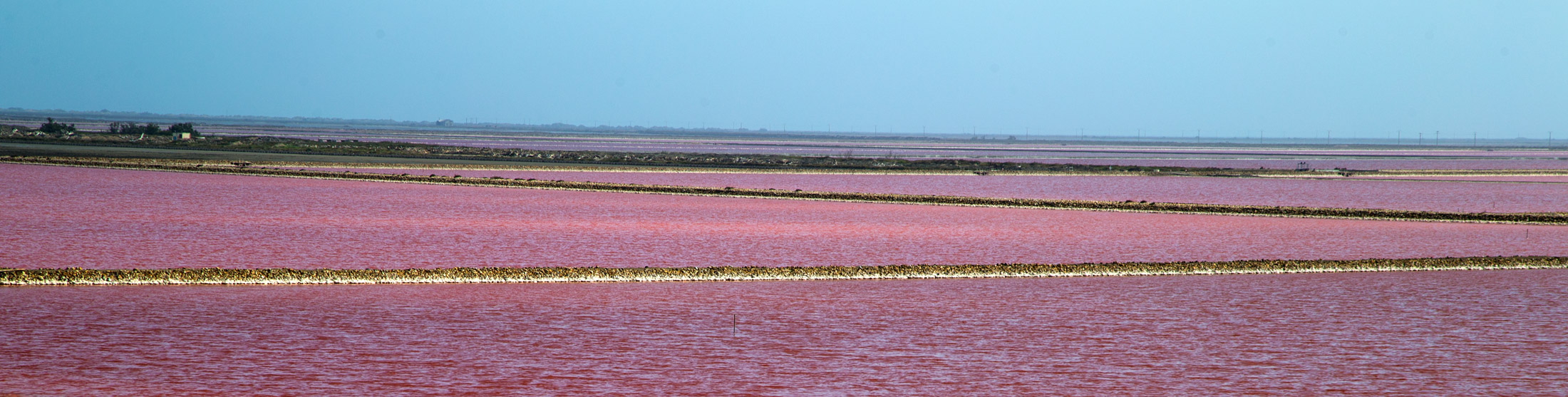 Saline Rosa della Camargue