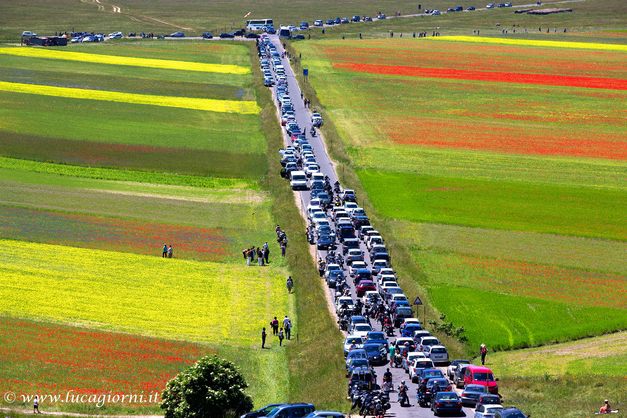 Effect Castelluccio