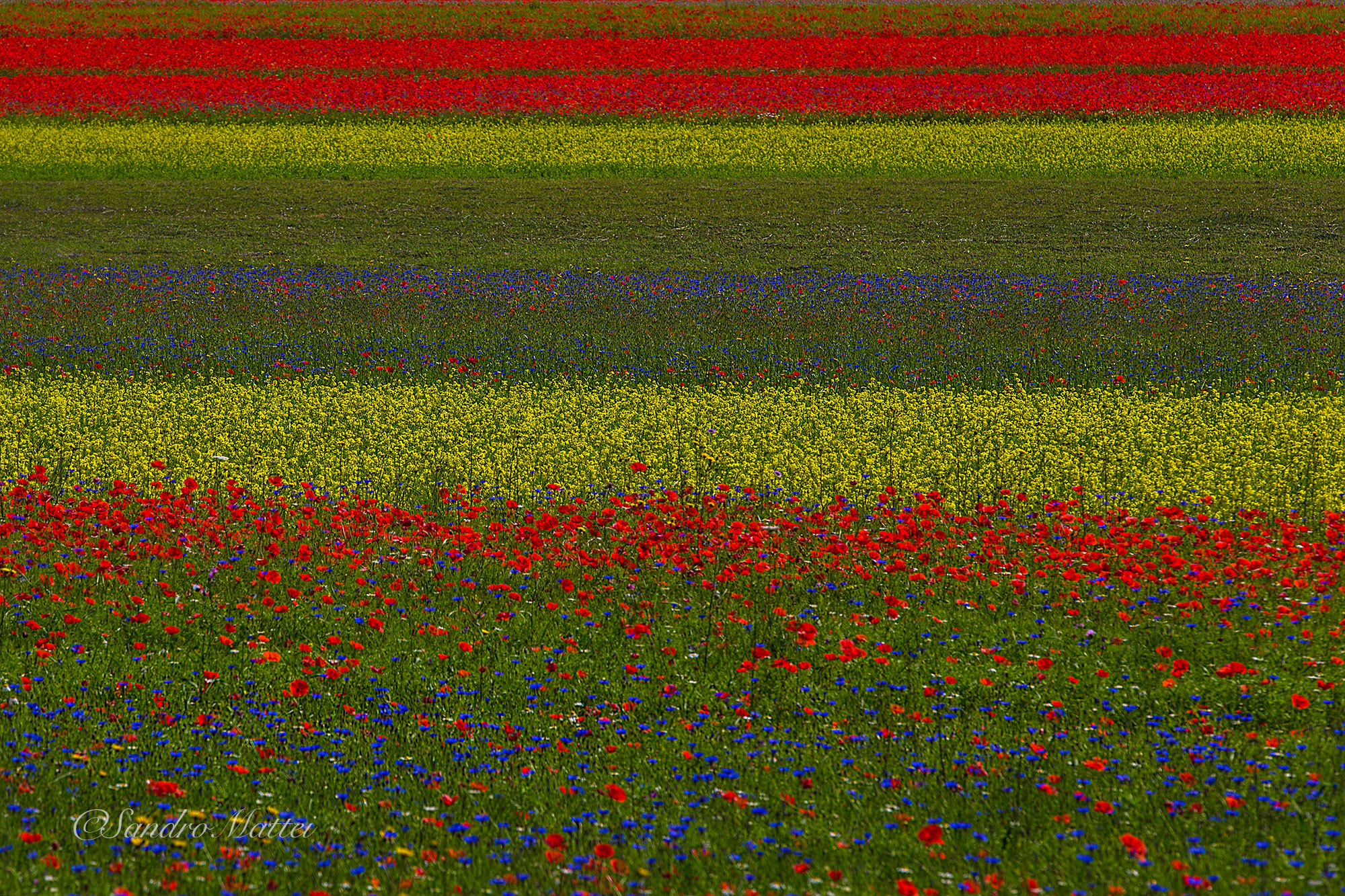 Colors in layers ... .....