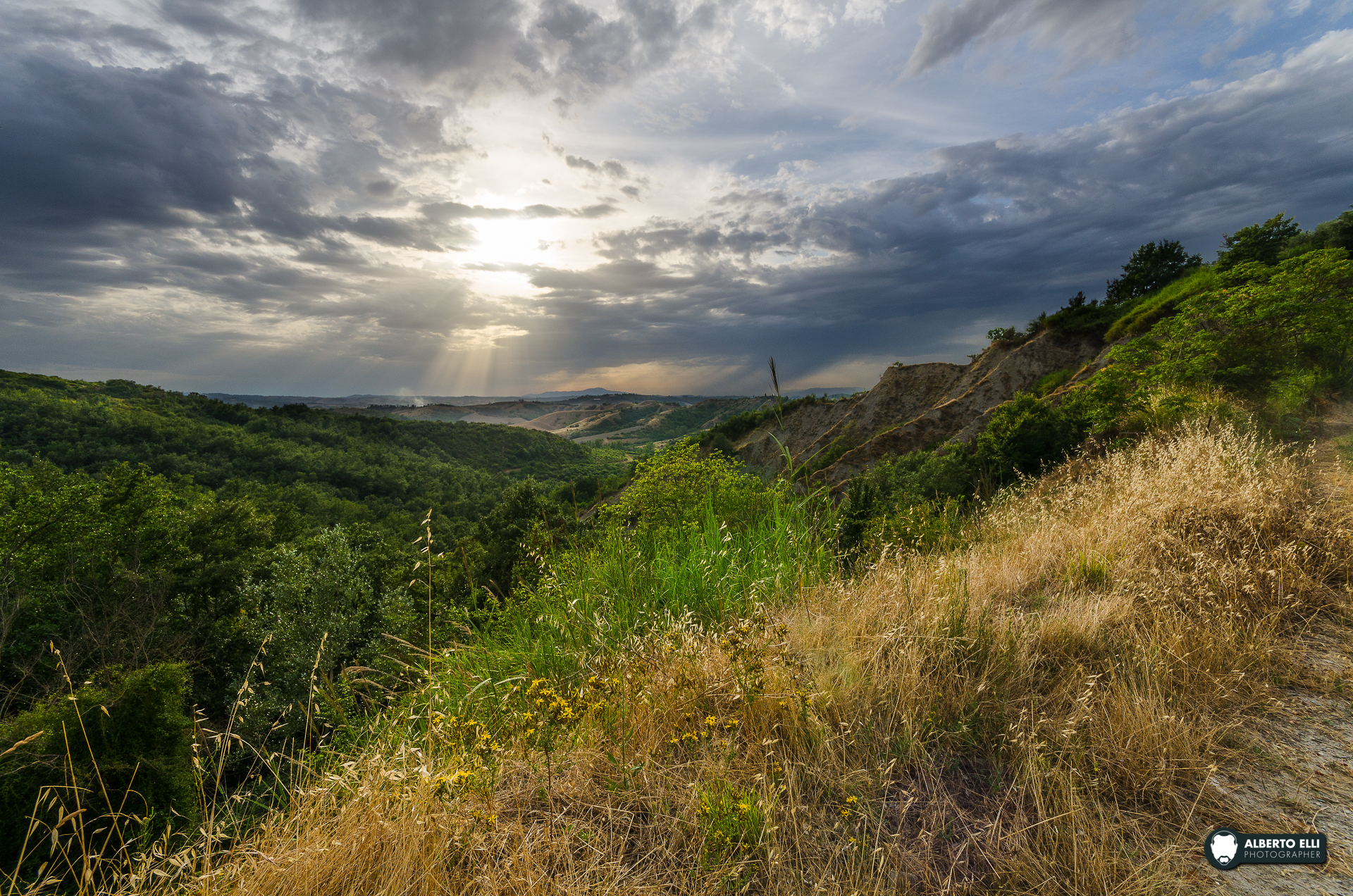 Certaldo, Hill of Olives
