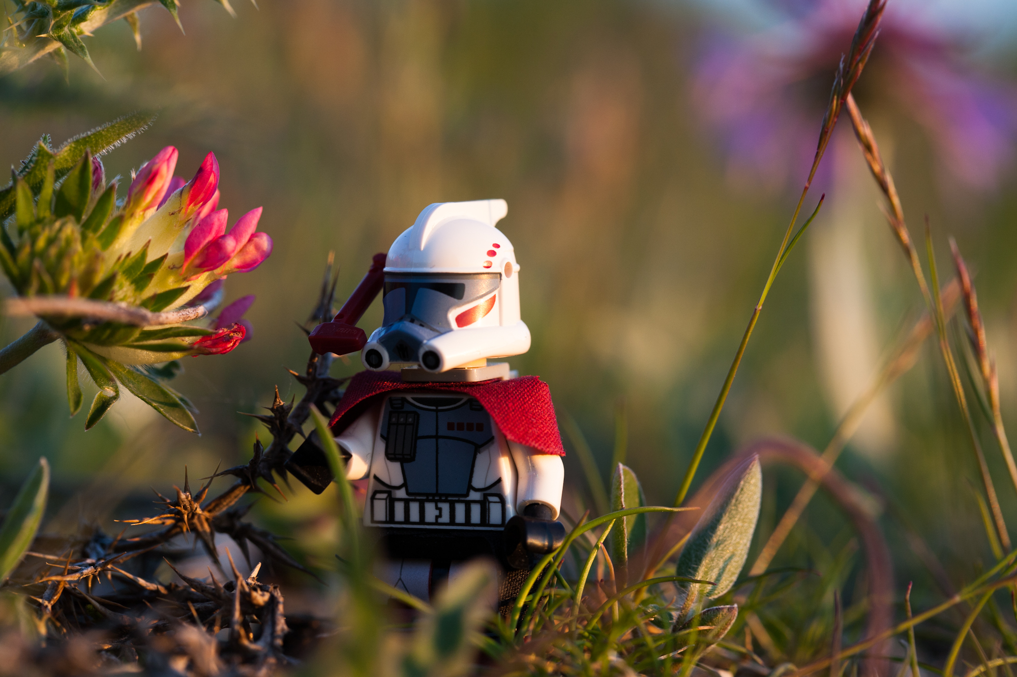 Starwars al tramonto