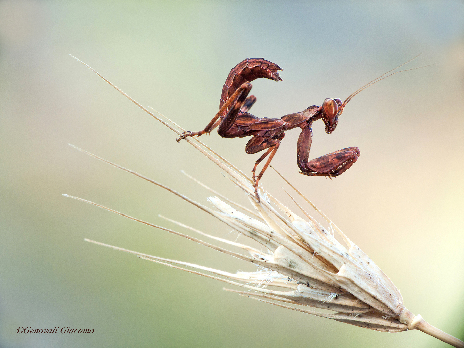 an encounter unexpected ...