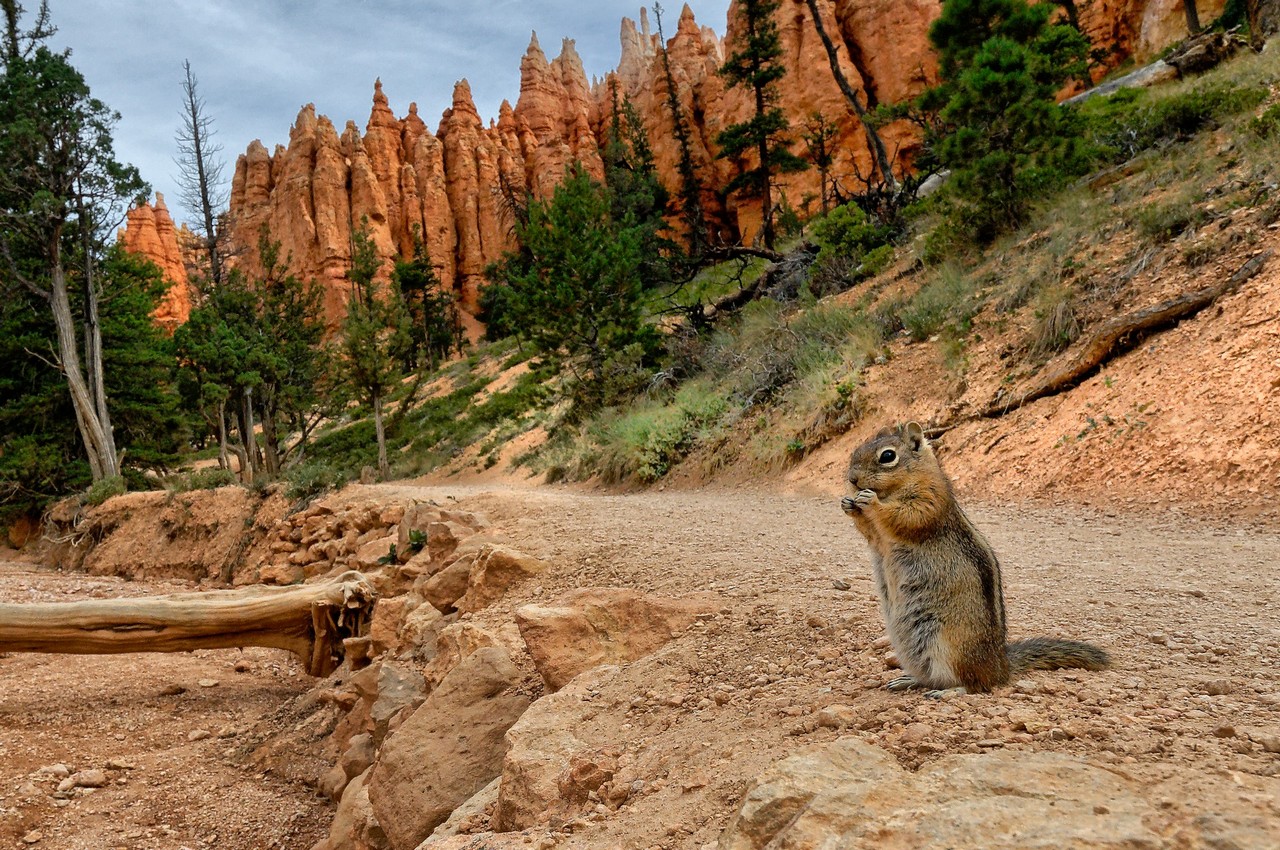 Bryce Canyon
