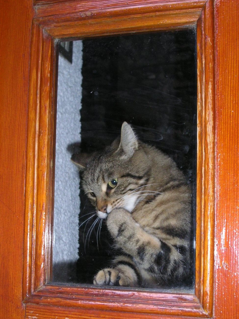 Ops...mi sono dato un pugno da solo