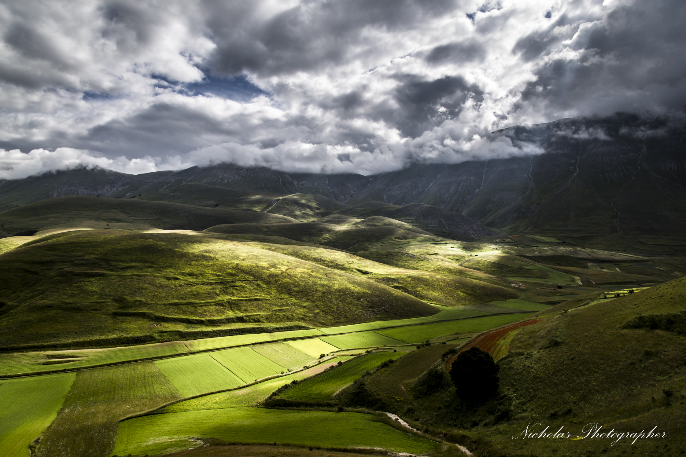 Castelluccio 2014