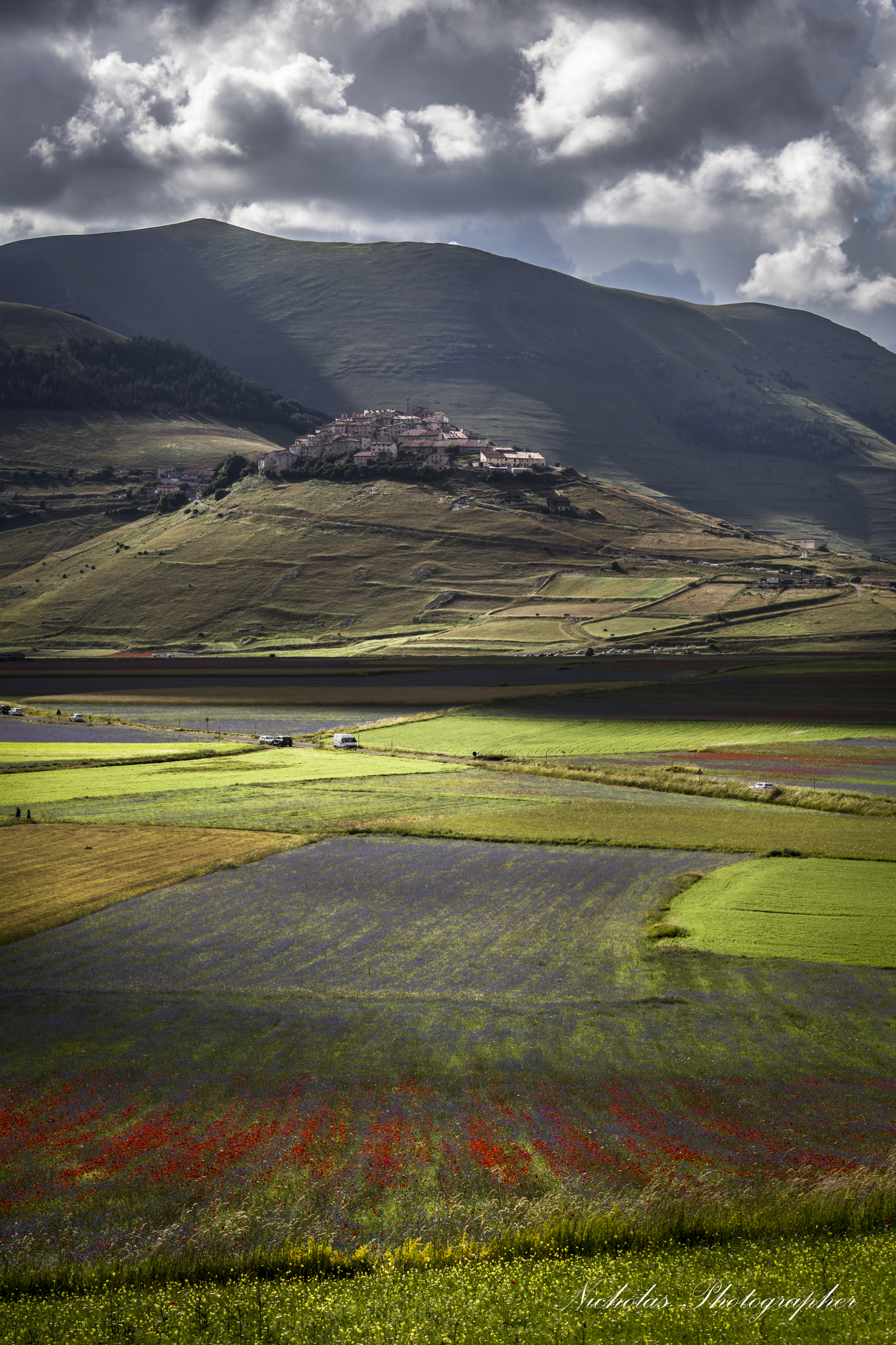 Castelluccio 2014