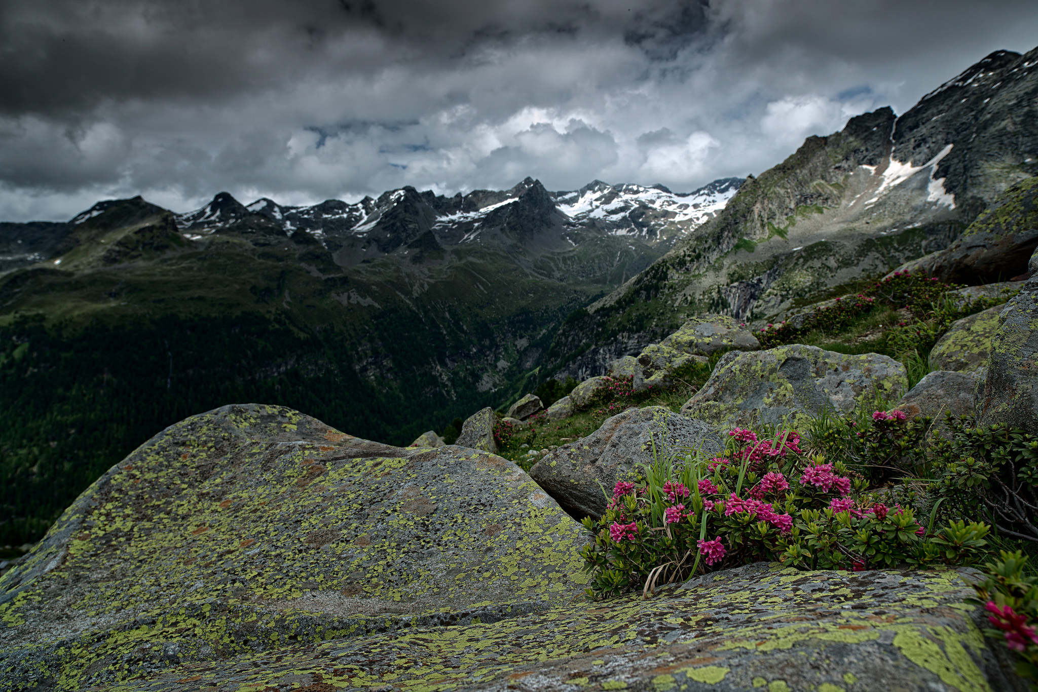 sentiero rifugio Roma vedrette di Ries
