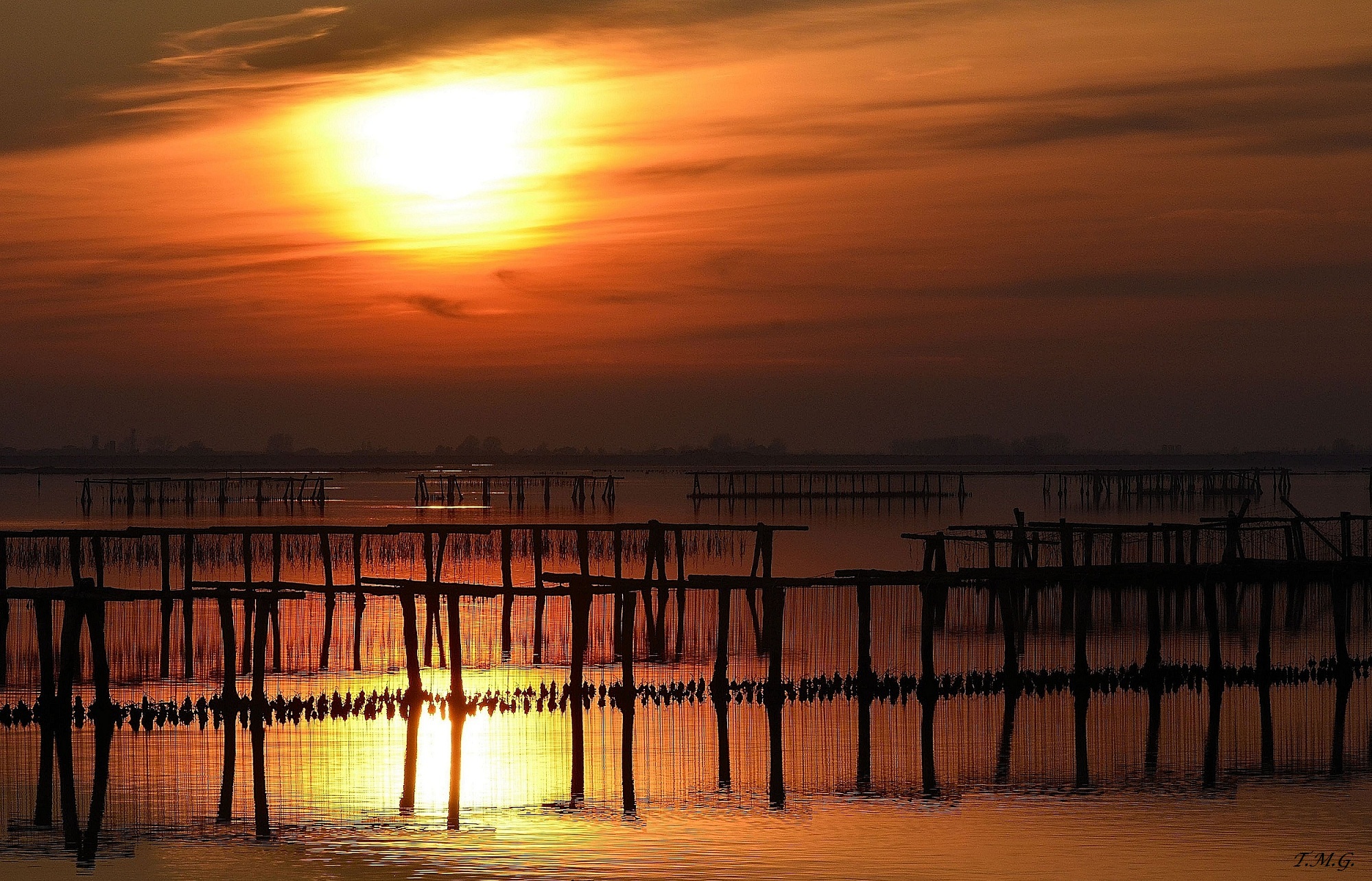 Sunset on nurseries in the Po Delta