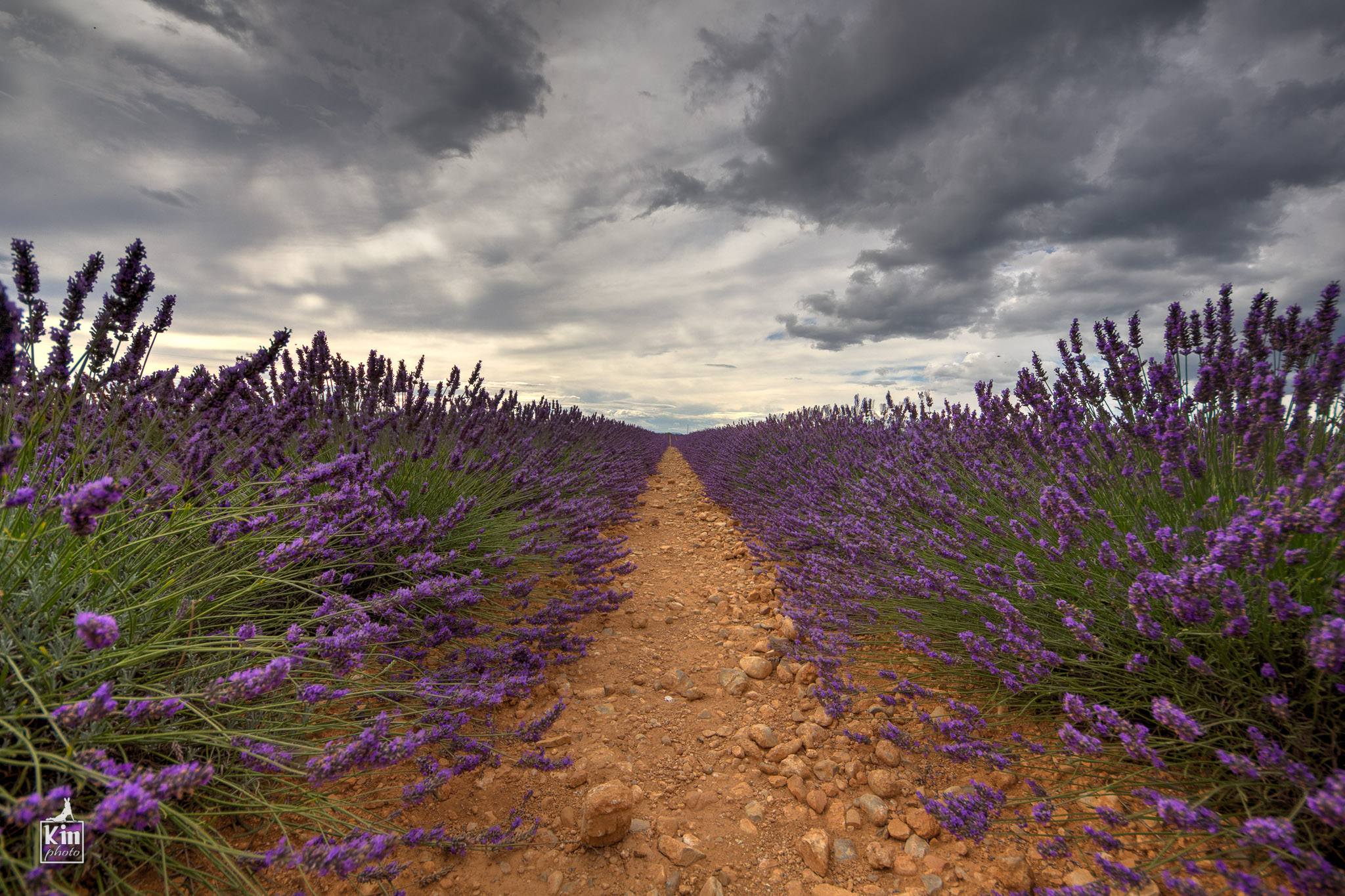 Sempre dritto verso il cielo