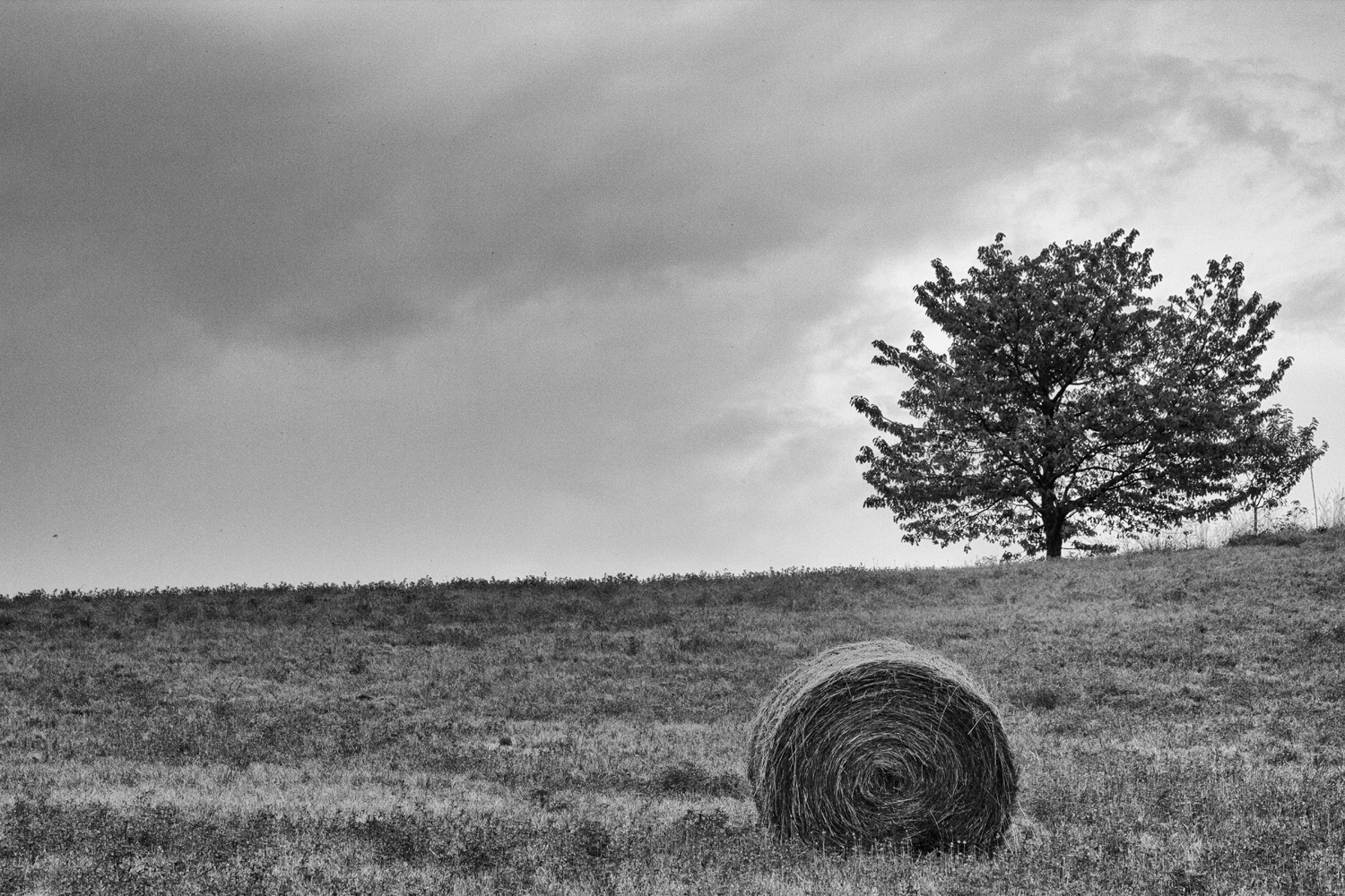 Balla di fieno (ma va??) solitaria...