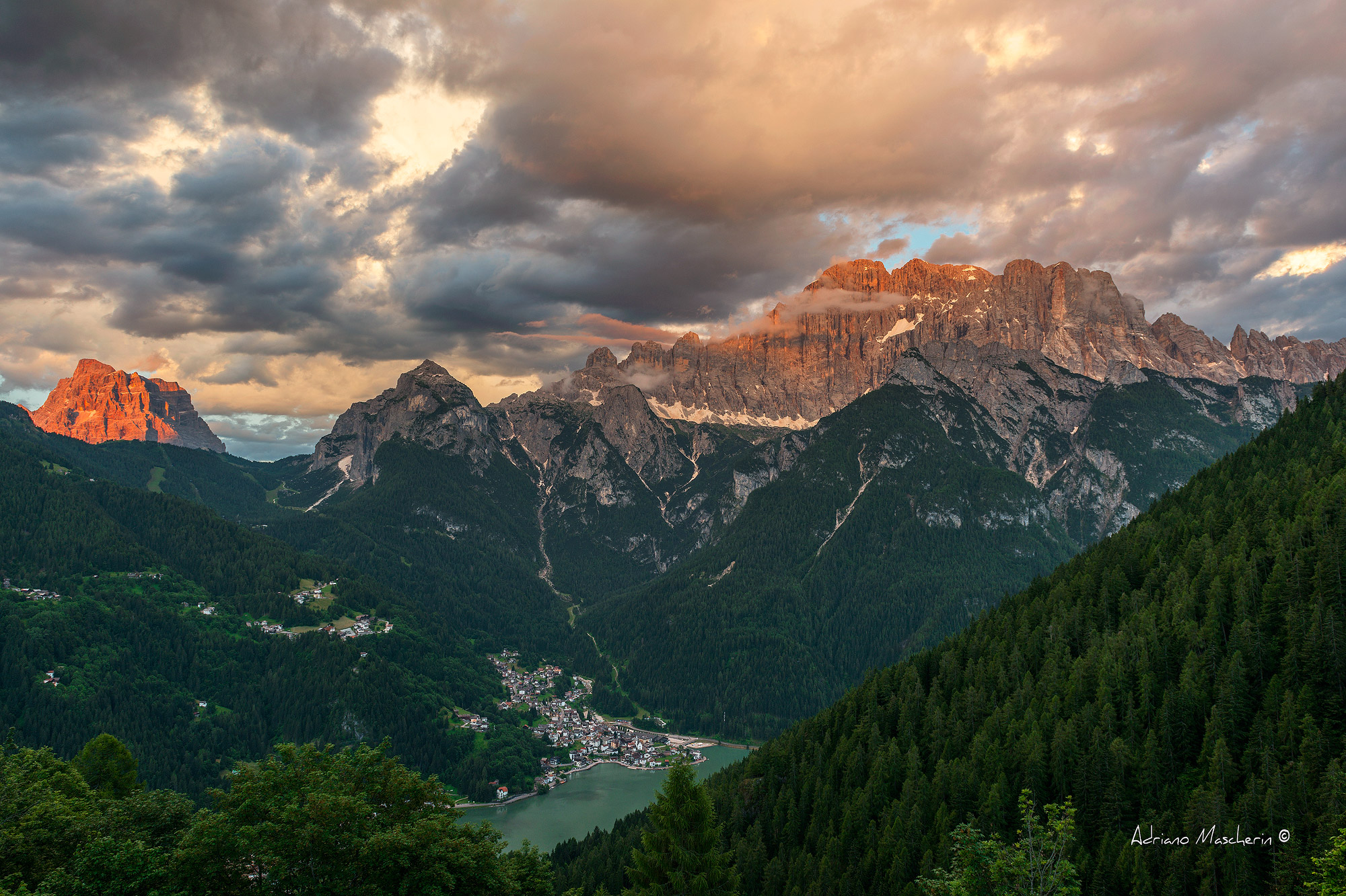 La Civetta ....ammalia ancora