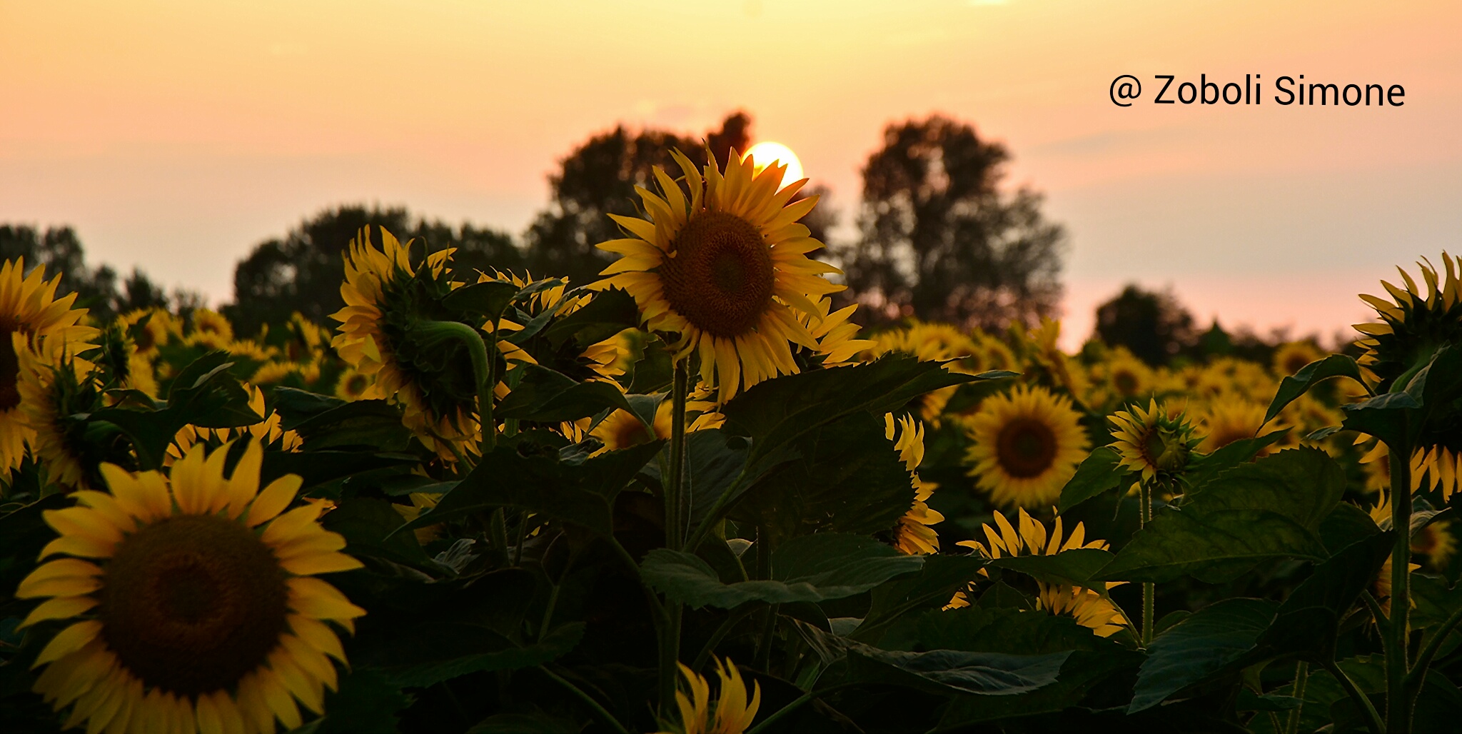 Tramonto speciale ...