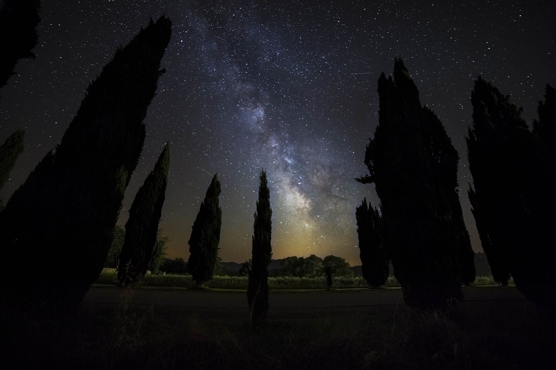 Cipressi presso abbazia di San Galgano con via lattea