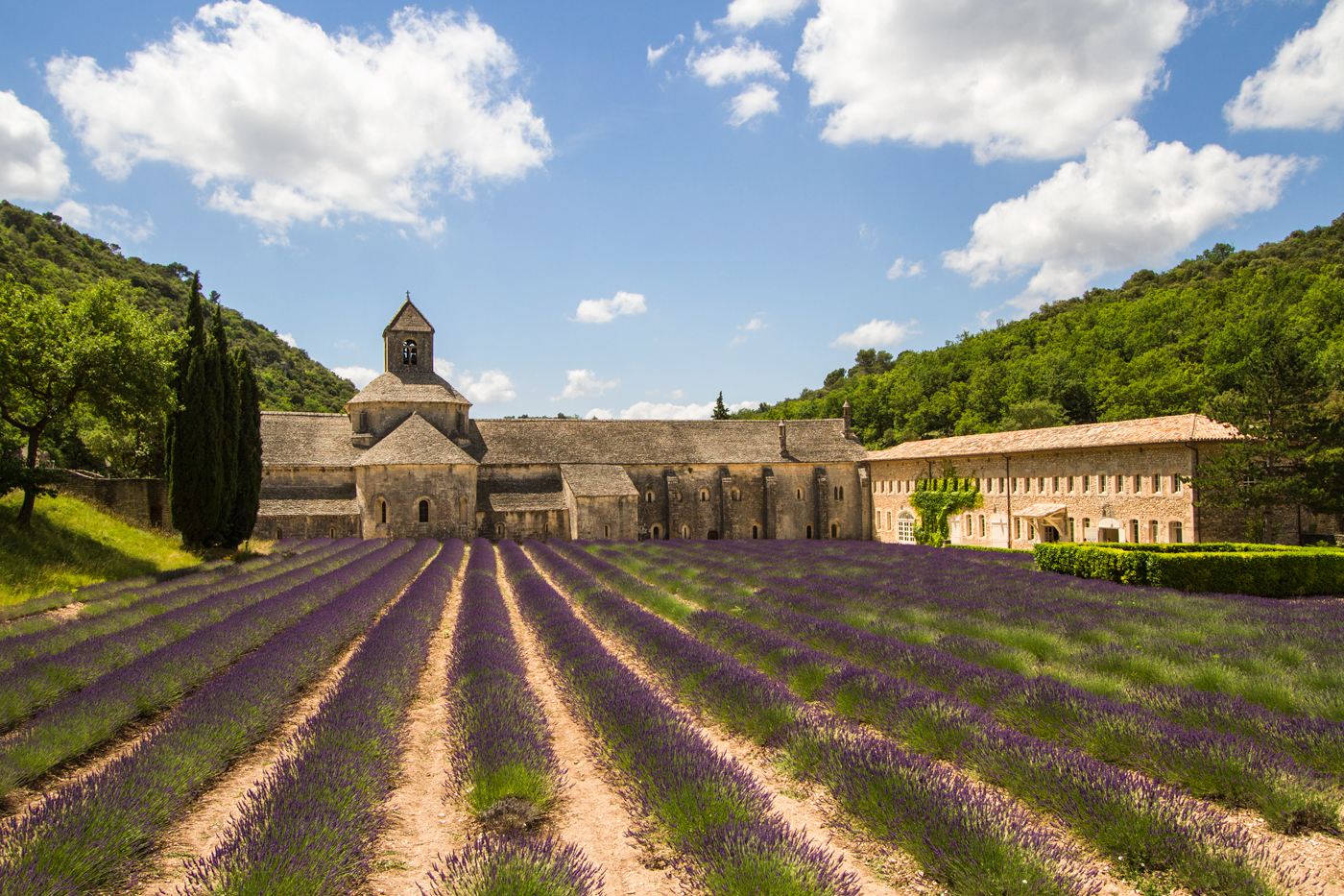 Abbey Senaque