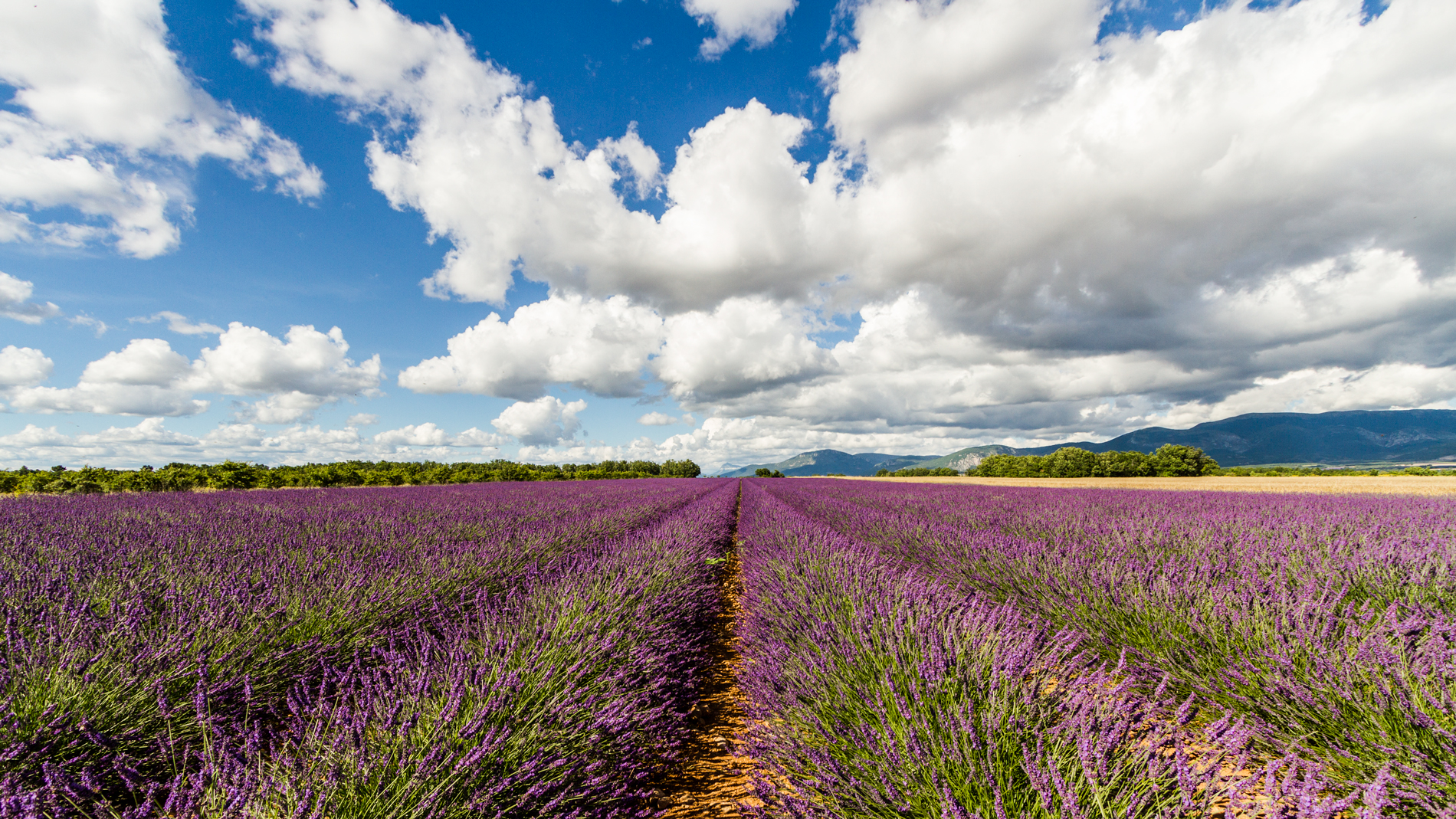 Surroundings Valensol