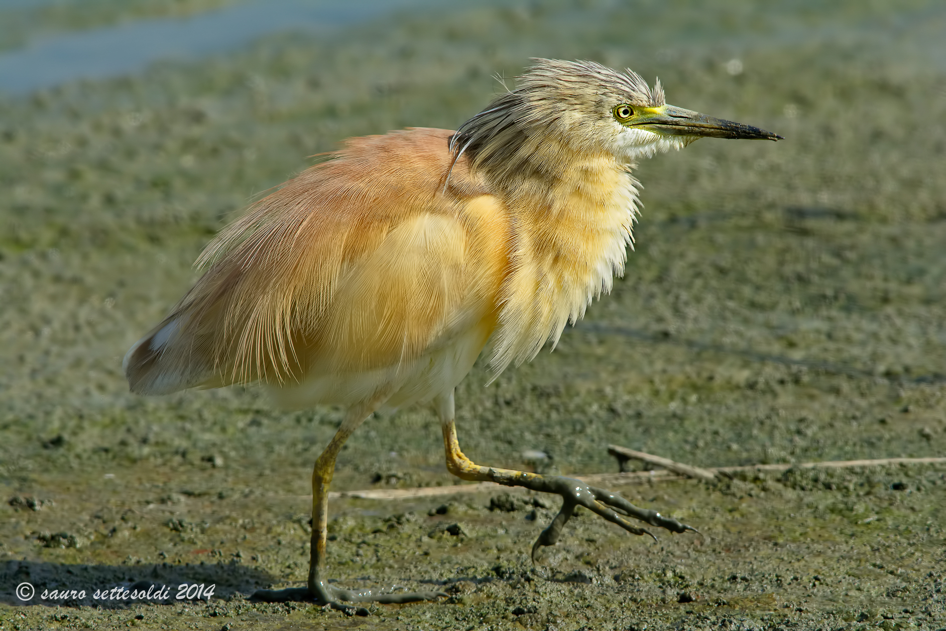 oh come sono bella!!!