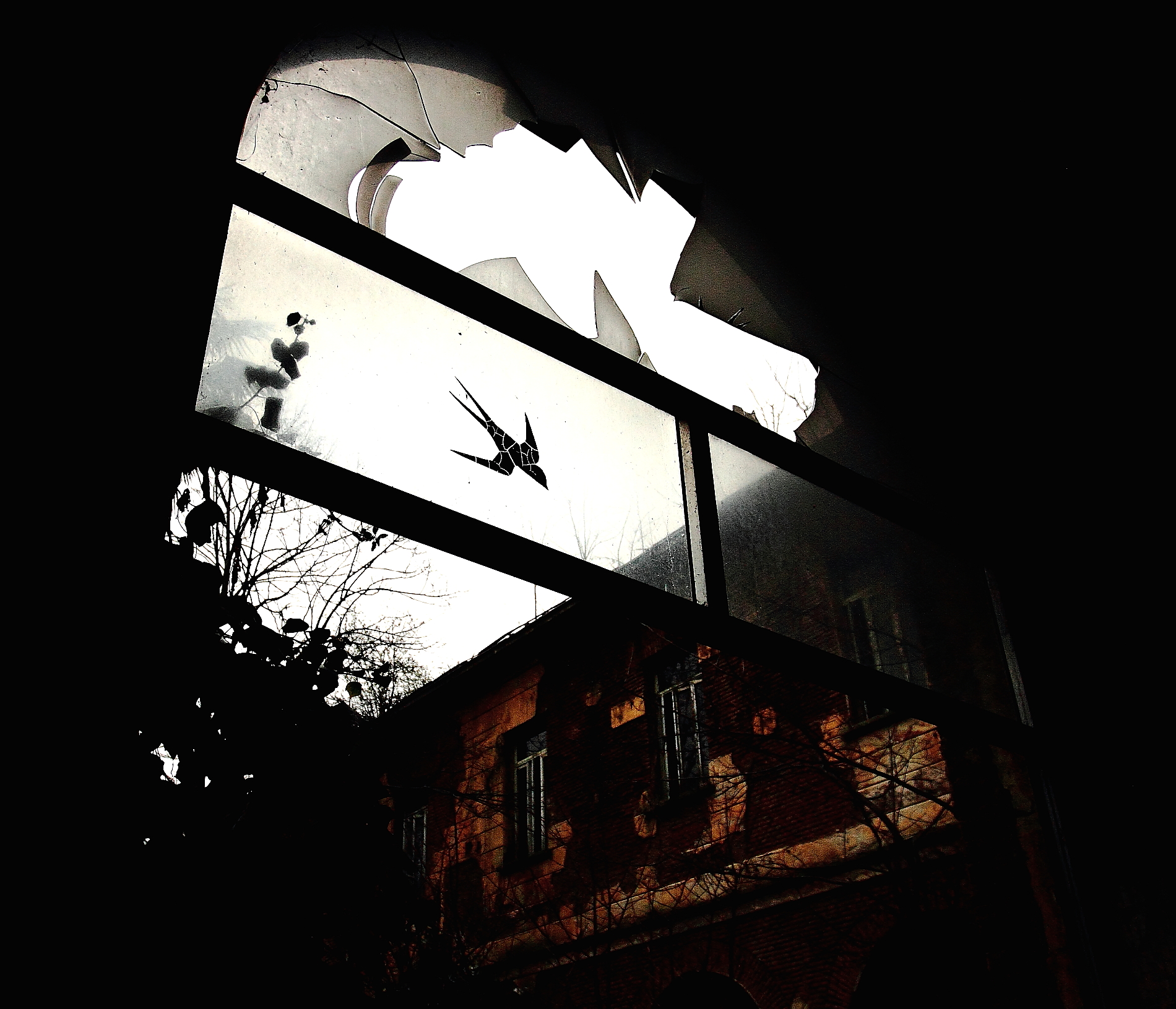 le ali della libertà