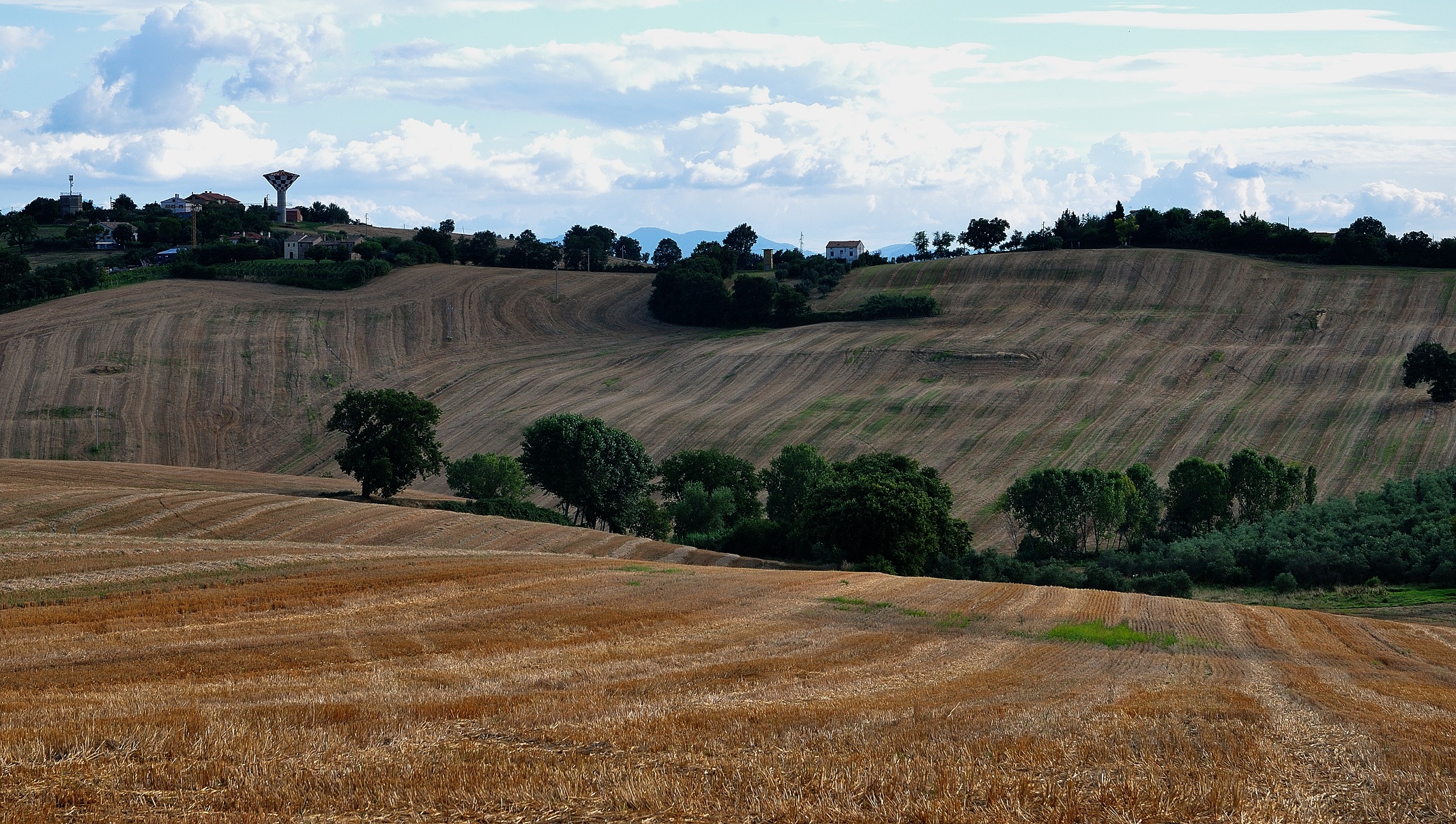 Notebook natural revised