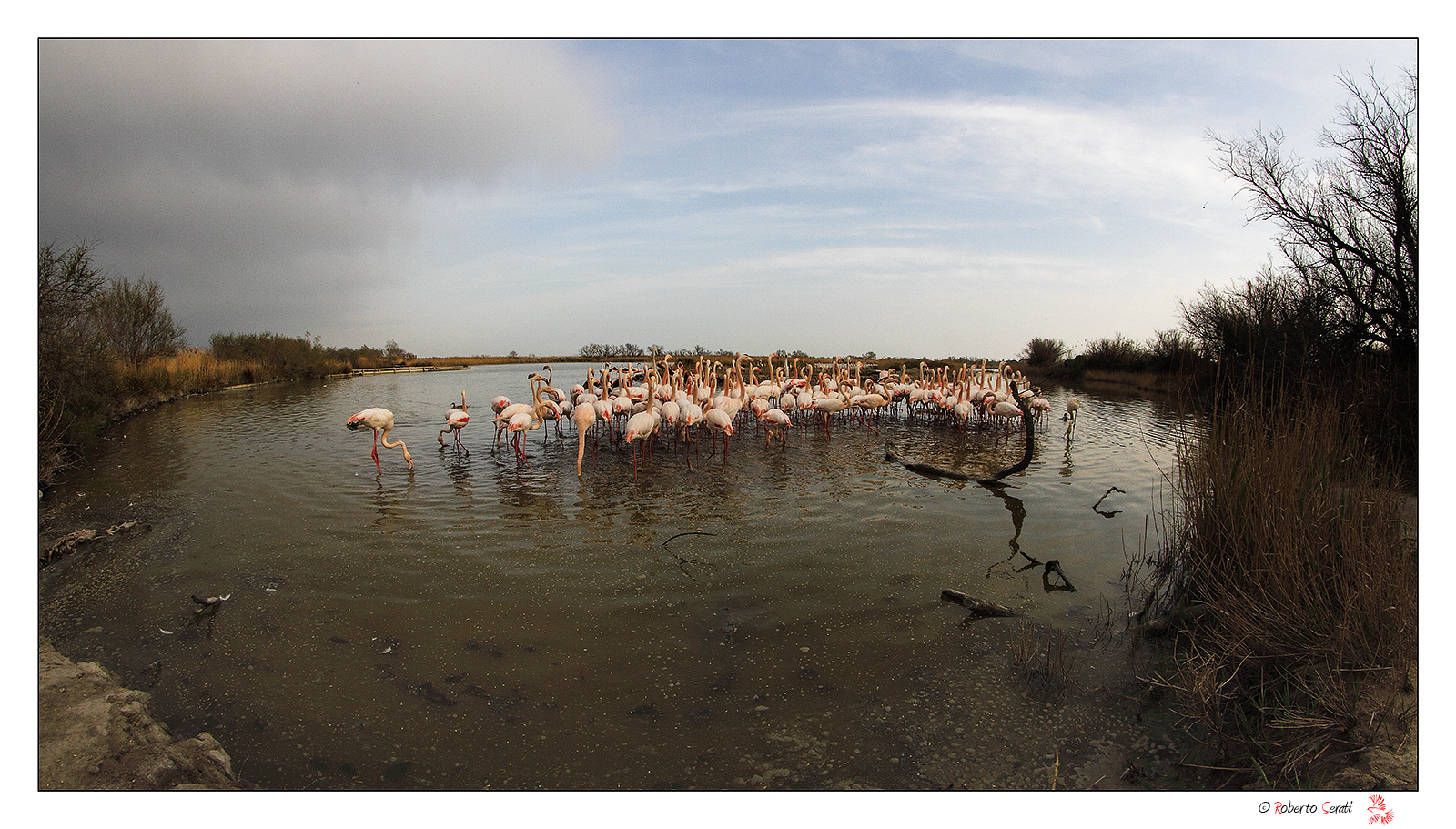 Nello stagno con 8 mm