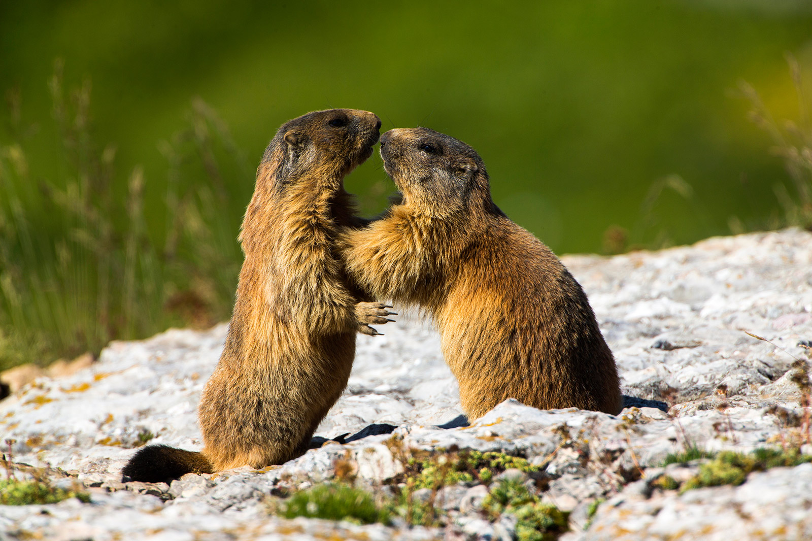 E' l'ora di arrivare questa?