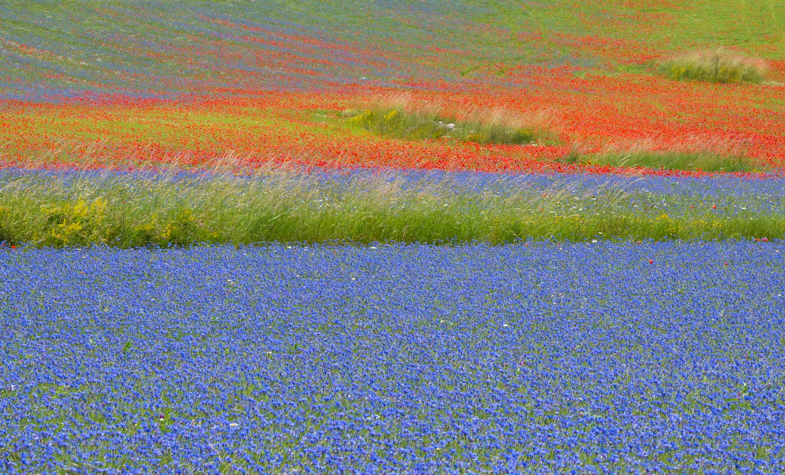 Castelluccio 01