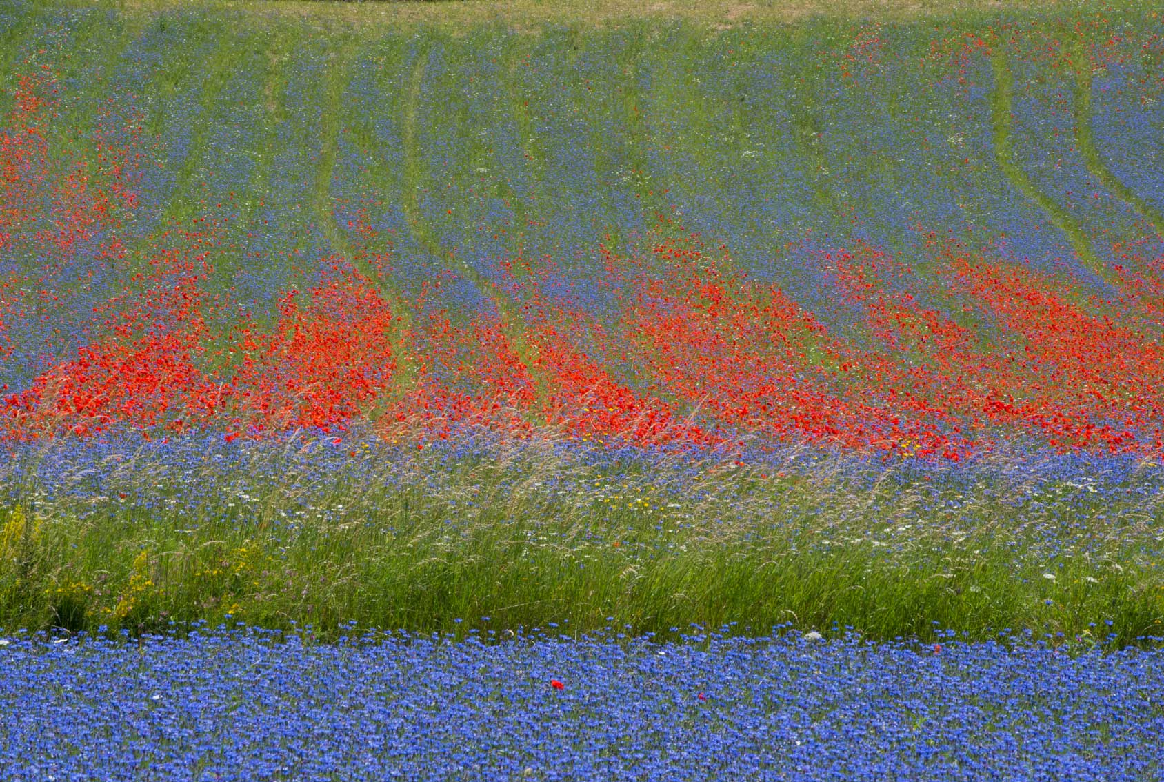 Castelluccio 02