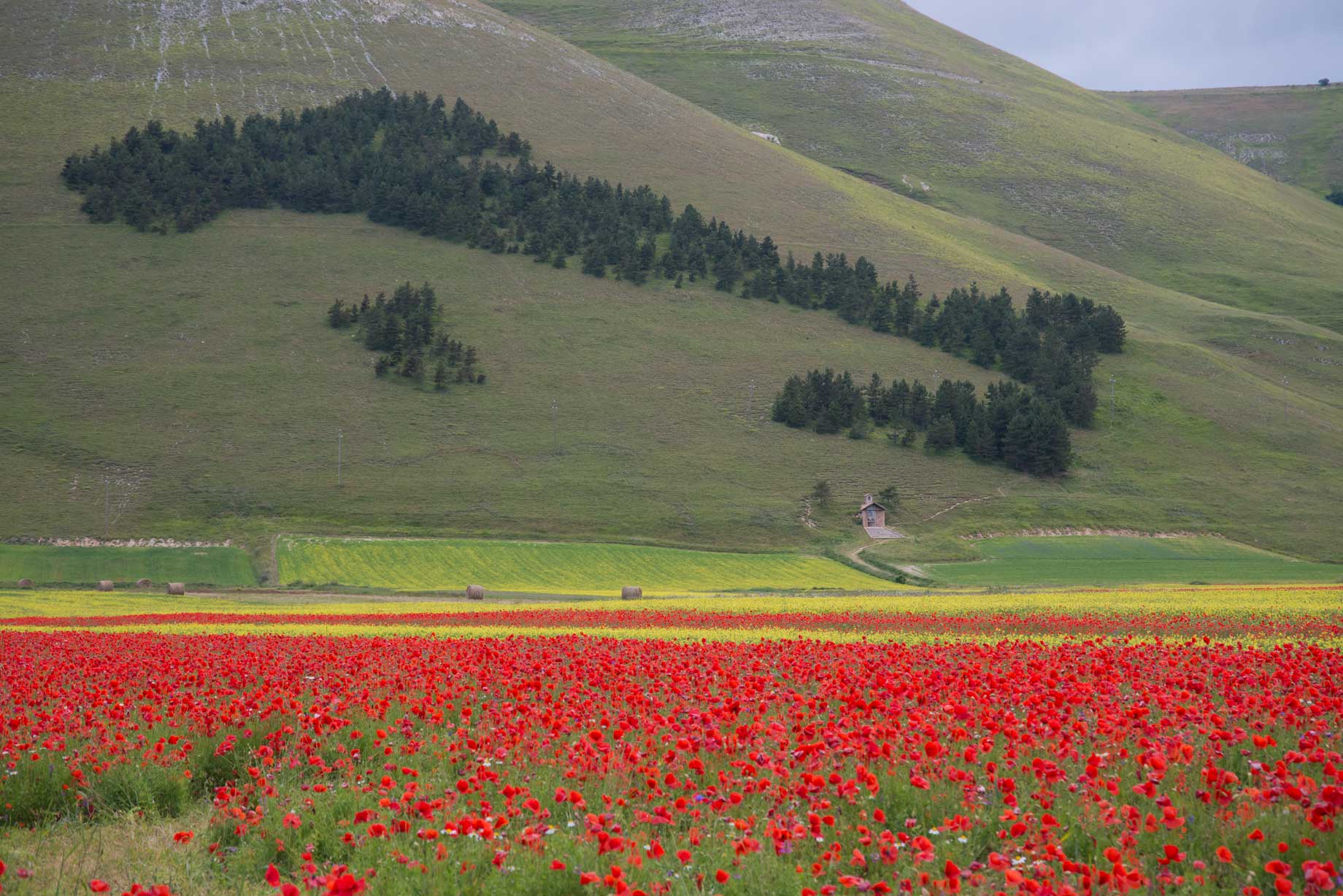 L'Italia a Castelluccio