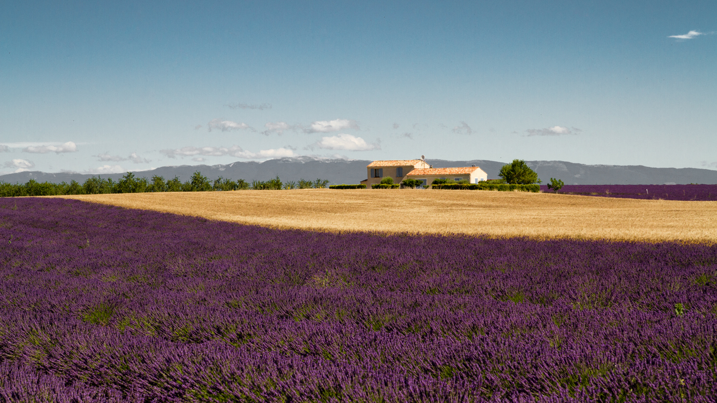 Surroundings Valensol