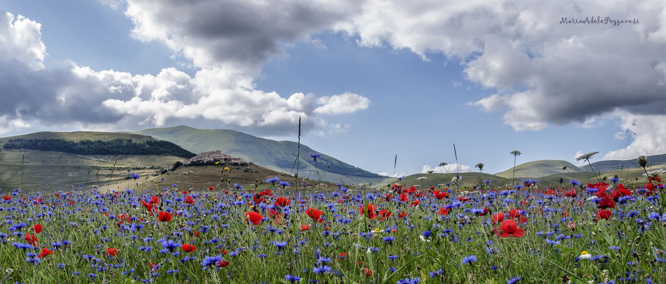 Castelluccio