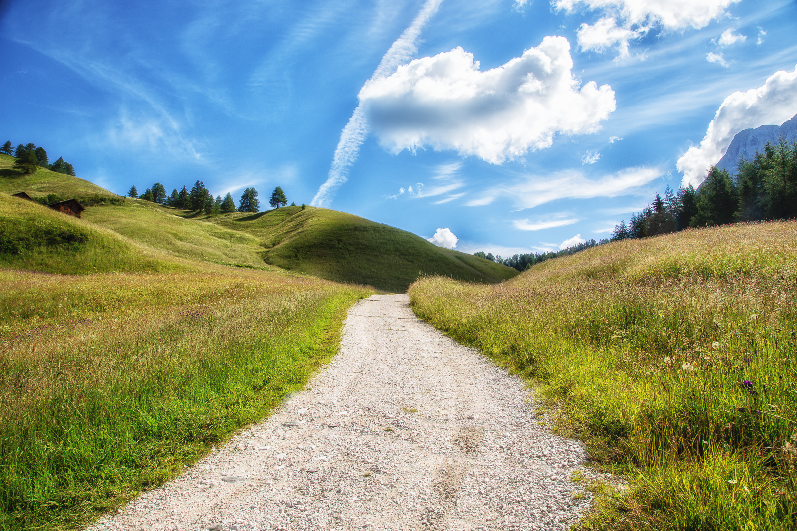 Val Badia: prati dell'Armentara